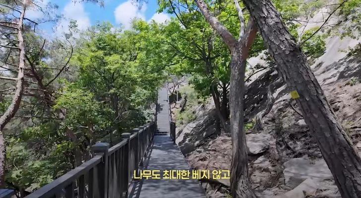 Trước khi mở cửa v&agrave;o cuối th&aacute;ng 8, nhiều vị tr&iacute; tr&ecirc;n đường m&ograve;n b&iacute; ẩn được l&aacute;t gỗ để đảm bảo an to&agrave;n khi đi bộ