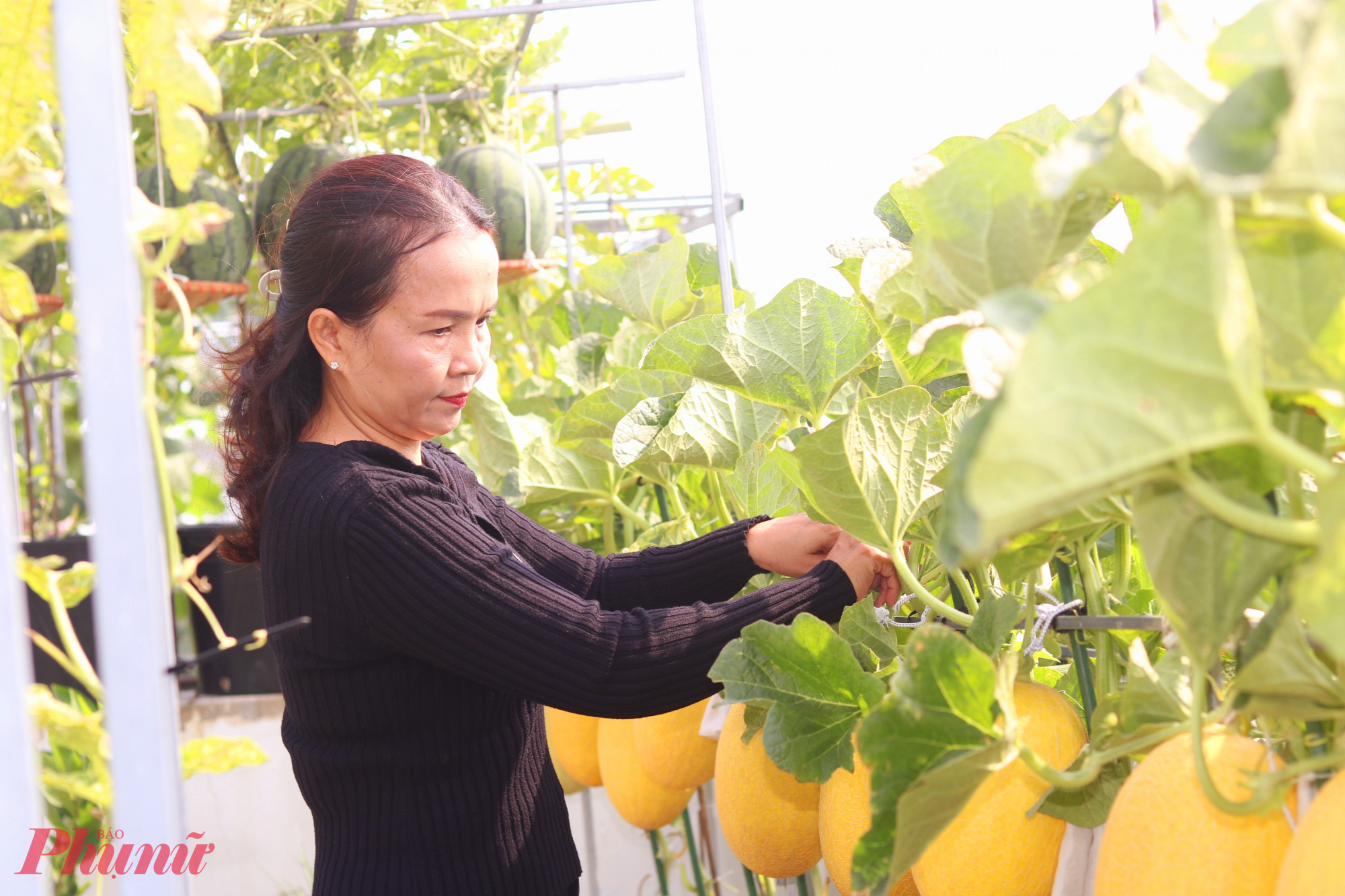 Theo chị Nhung, c&ocirc;ng việc l&agrave;m vườn tuy c&oacute; ch&uacute;t vất vả nhưng mang đến cho chị những khoảng nghỉ tinh thần cần thiết giữa cuộc mưu sinh - Ảnh: Mẫn Nhi