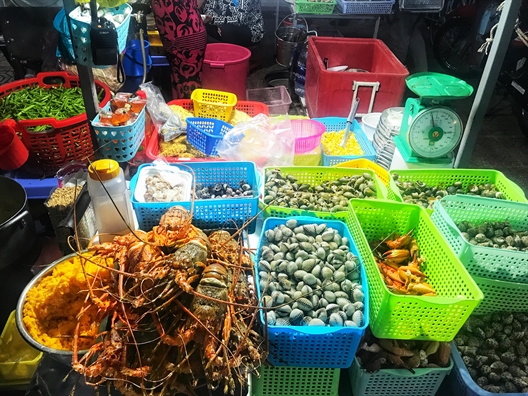 Le la kham pha hang oc noi tieng nhat o