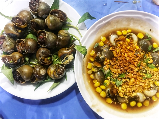 Le la kham pha hang oc noi tieng nhat o