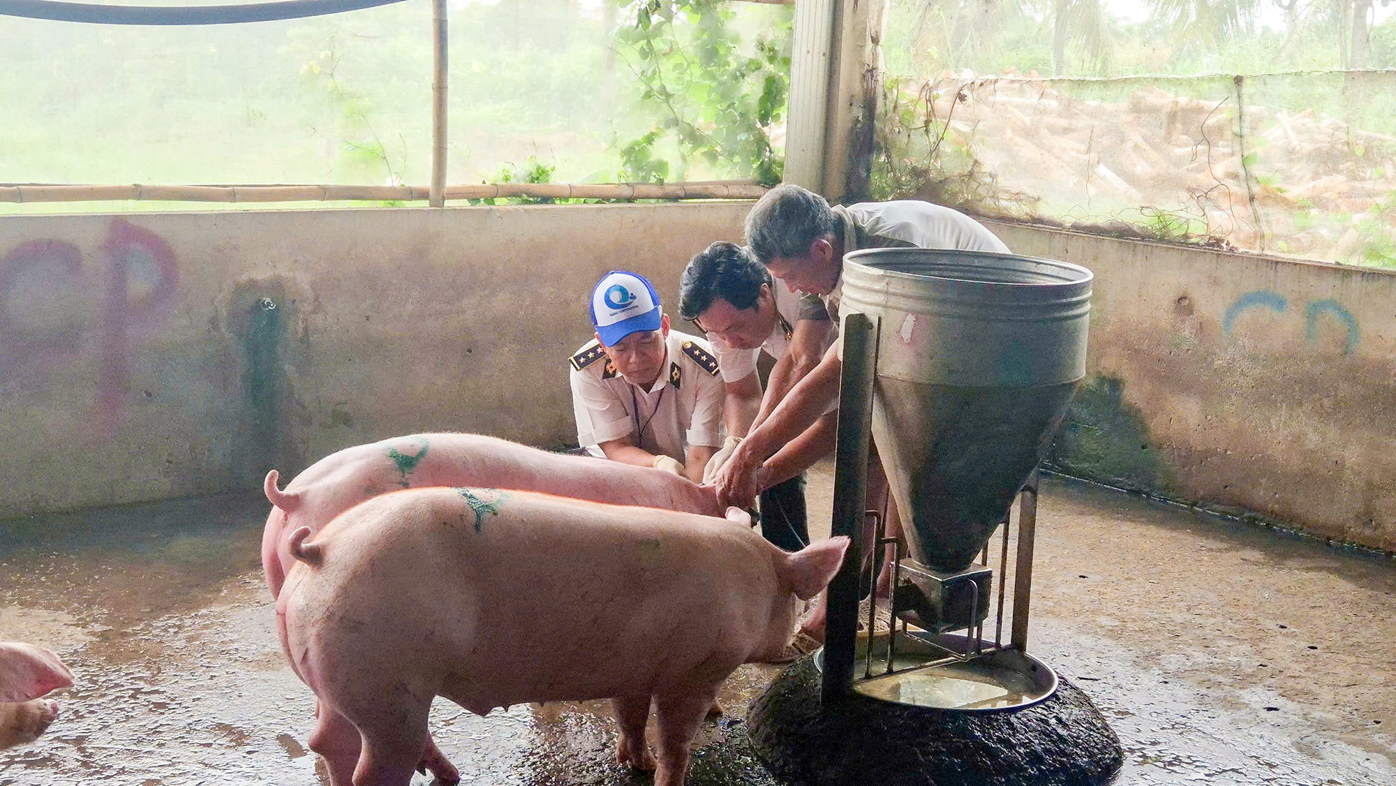 Sóc Trăng kiểm tra lò giết mổ gia công cho Công ty C.P