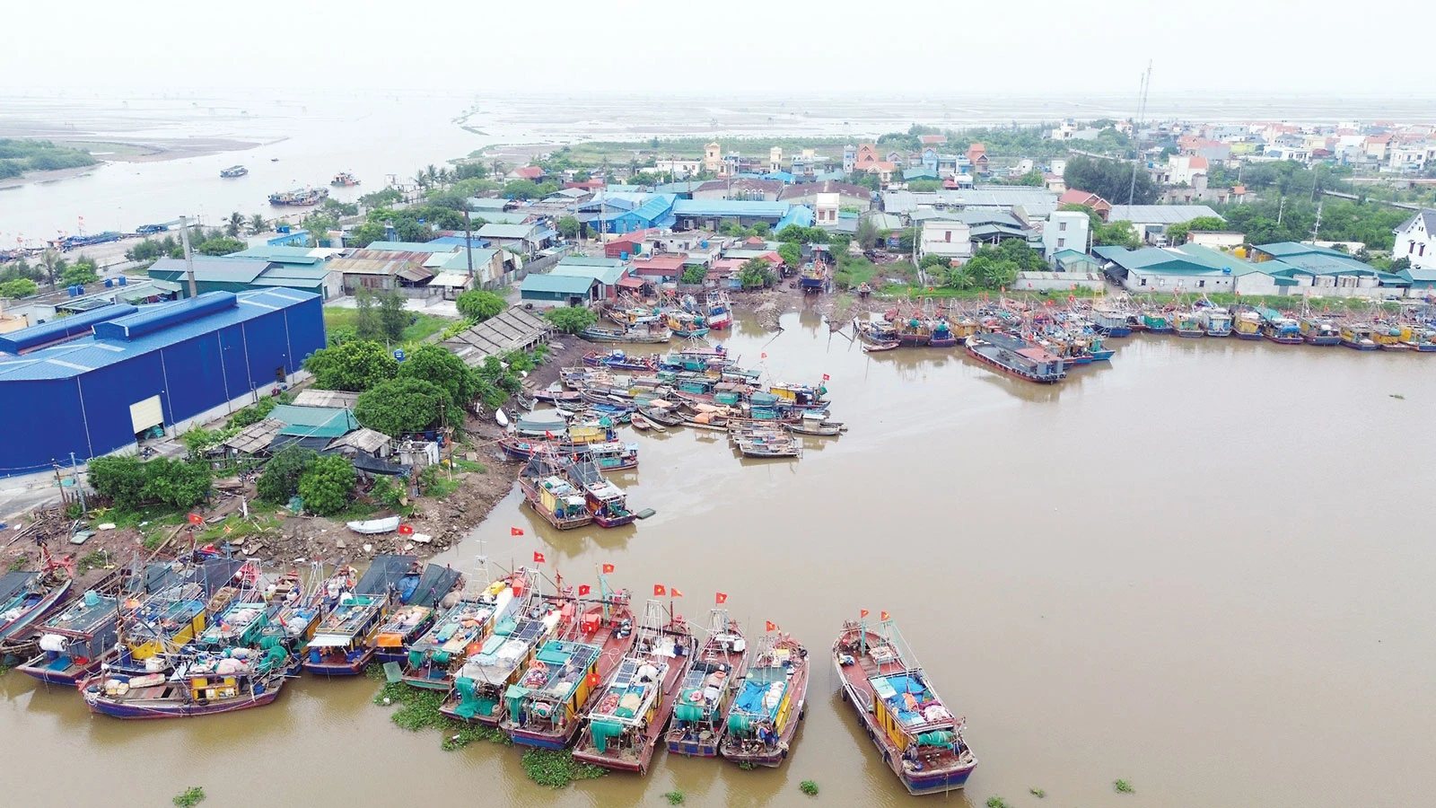 p23-asd-chinh-h2-3455.jpg