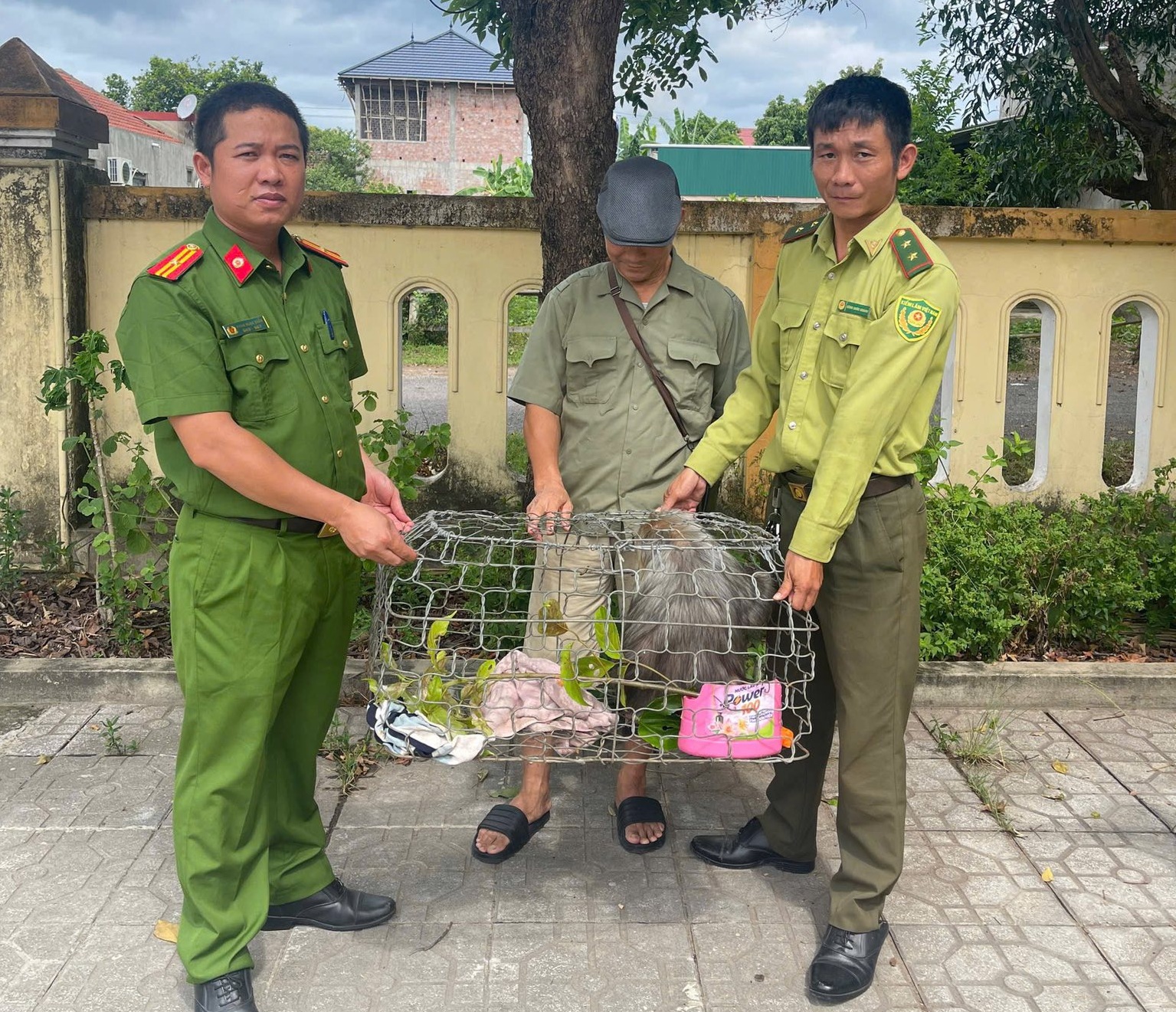 Khỉ mặt đỏ đột nhập phá phách bị chủ nhà bắt giao cho kiểm lâm