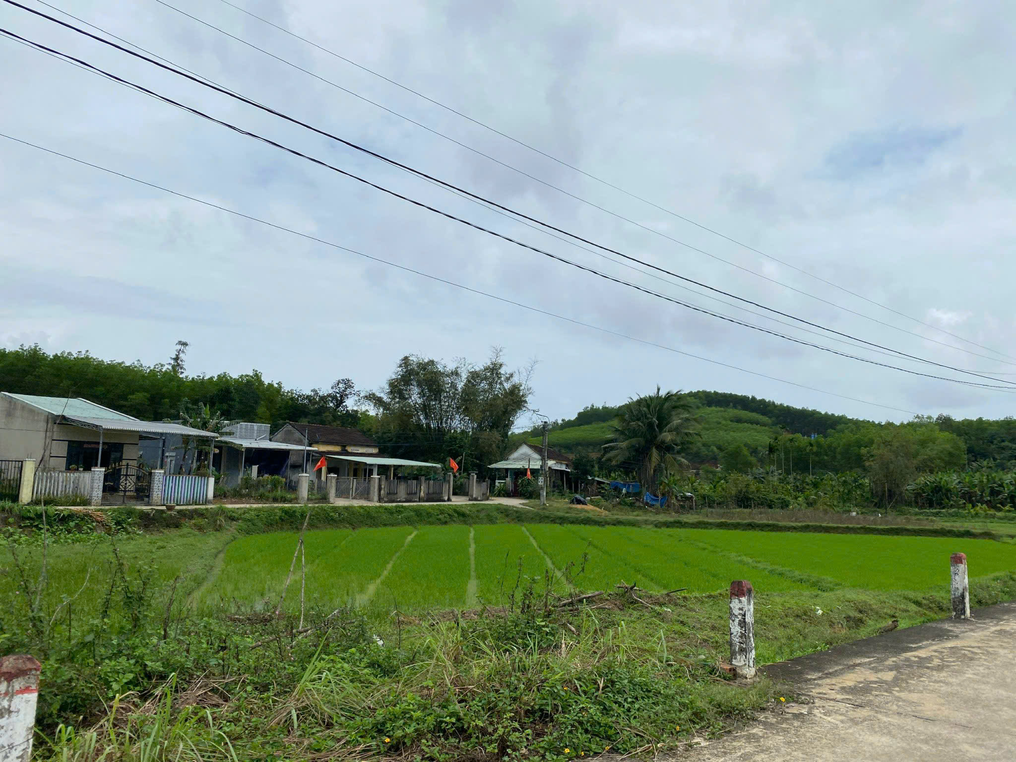 Thông báo thụ lý vụ án có là căn cứ ngăn chặn chuyển nhượng nhà, đất?