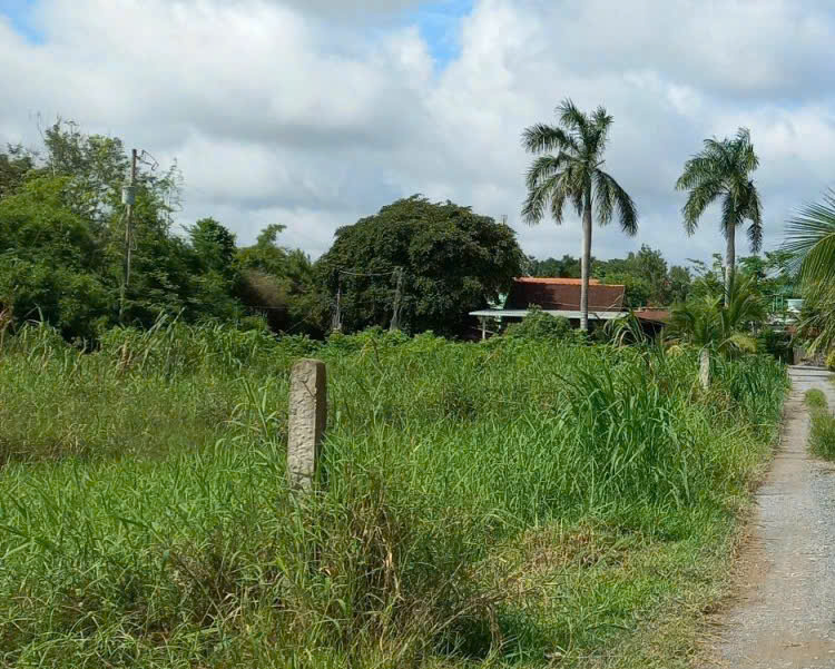 an-le-dat-cọc.jpg