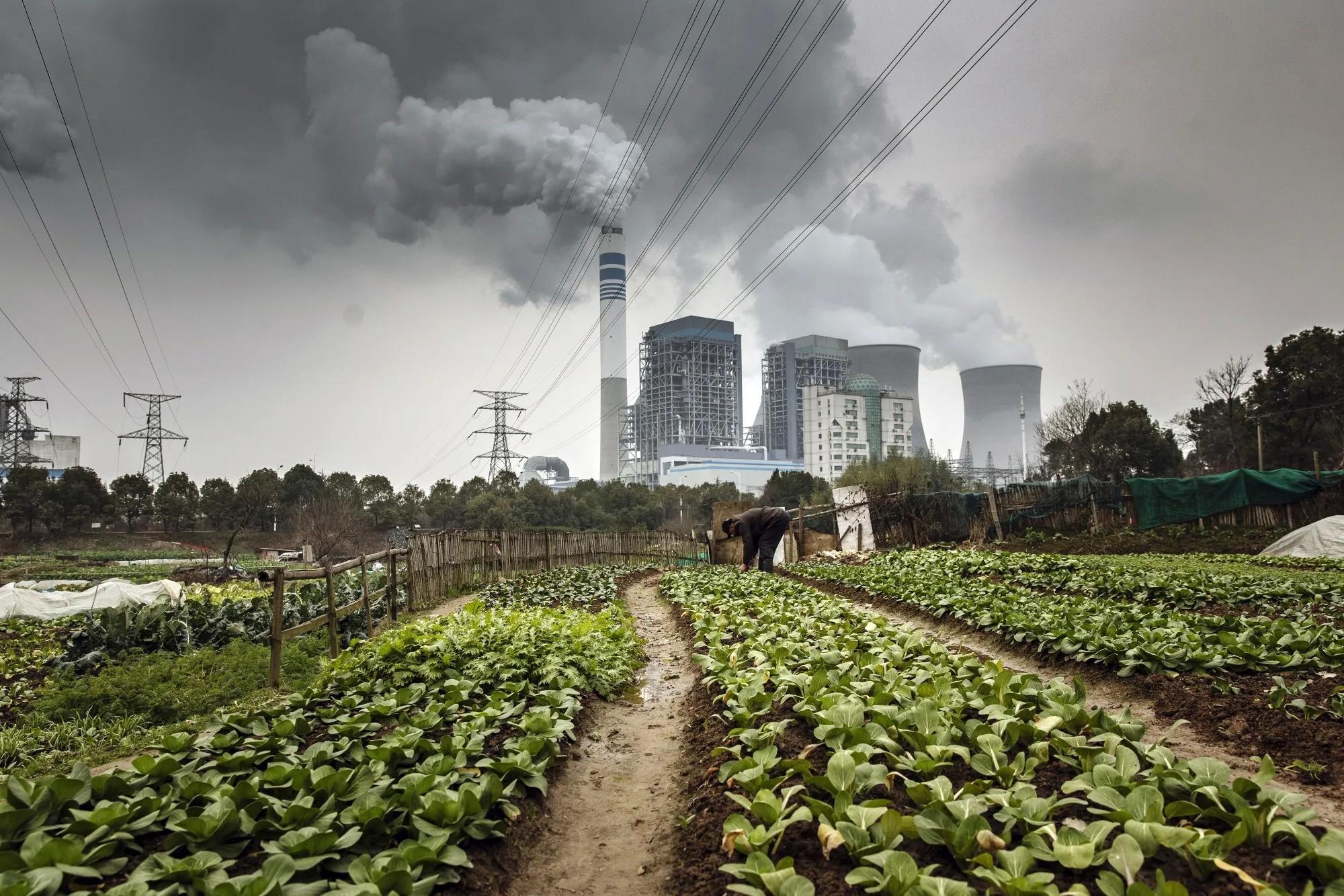 COP30: Trọng tâm, thách thức và hy vọng cho cuộc chiến chống biến đổi khí hậu
