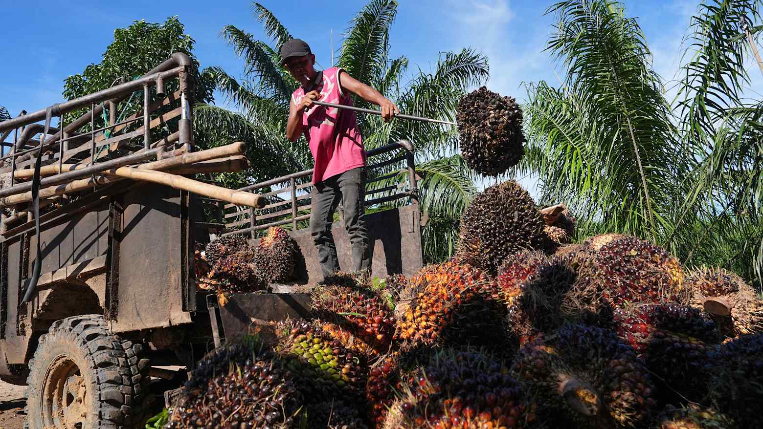Siêu El Niño có thể ảnh hưởng sao đến nông nghiệp ở Đông Nam Á?