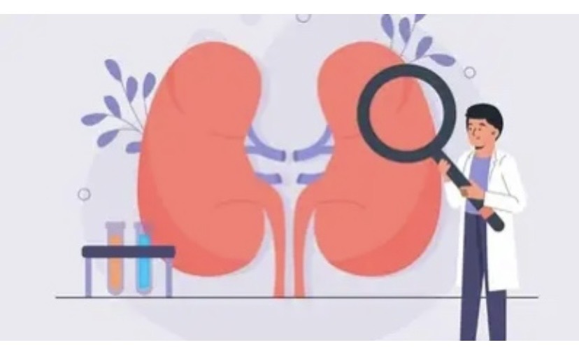 7 sai lầm trong lối sống khiến thận bị tổn thương.jpg