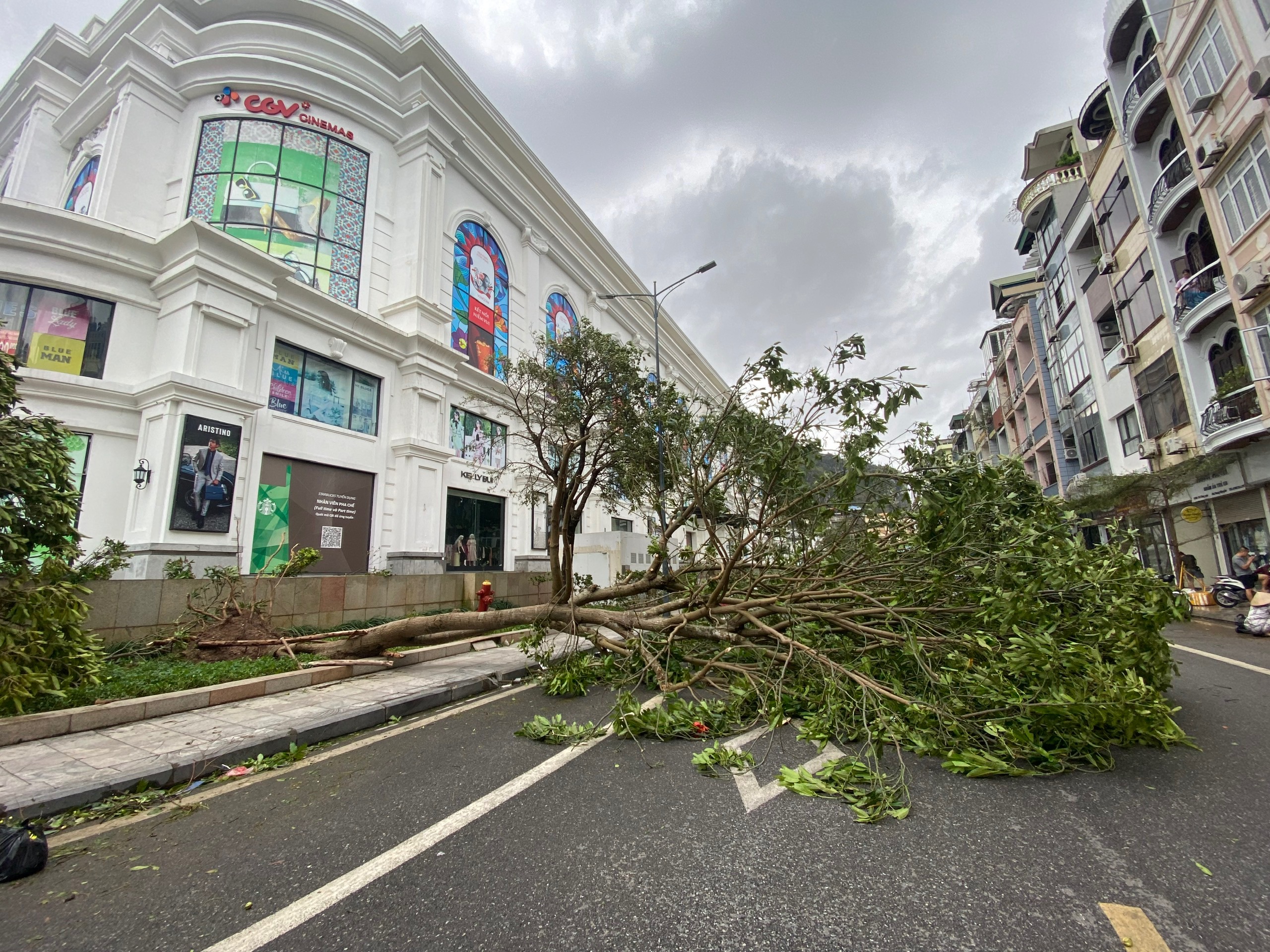 Doanh nghiệp bảo hiểm