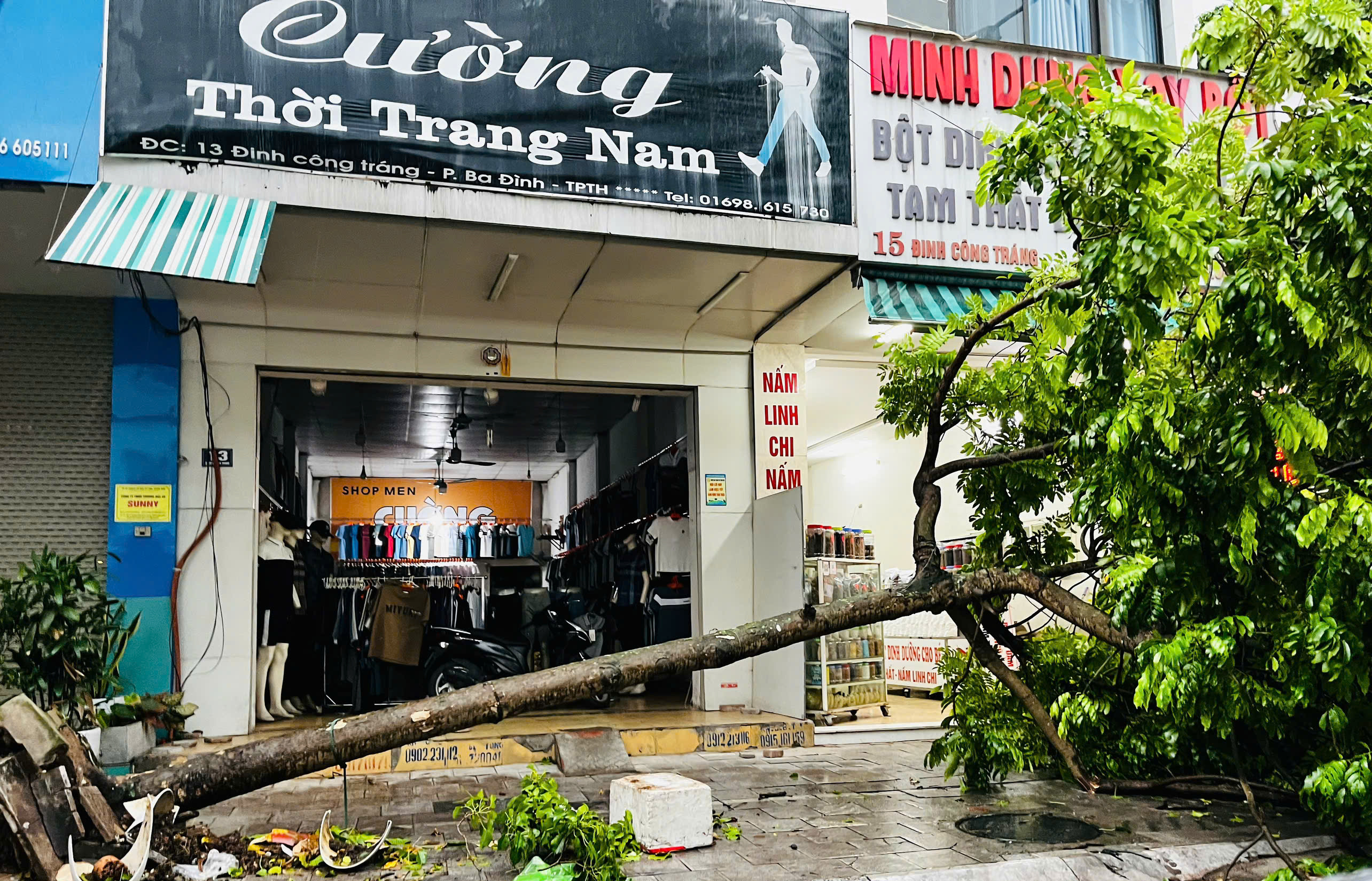 Siêu bão Yagi khiến cây đổ la liệt kèm gió lớn lốc xoáy ở Thanh Hóa  -.jpg