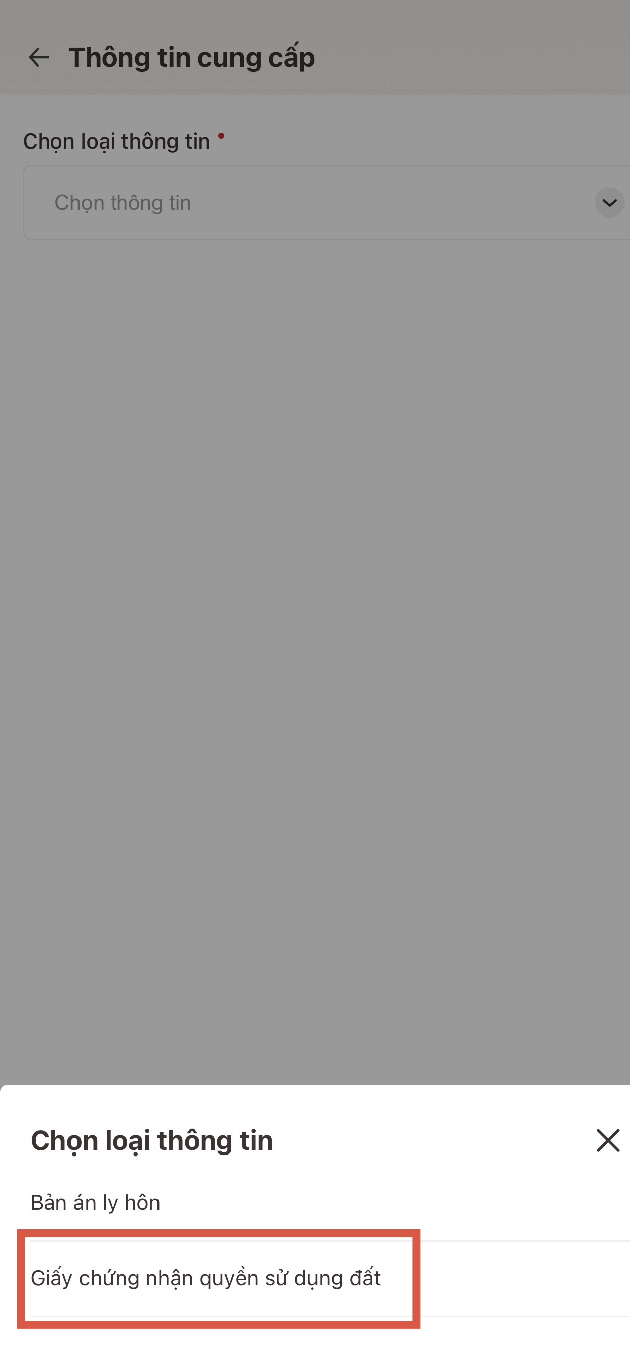 IMG_5473.jpeg