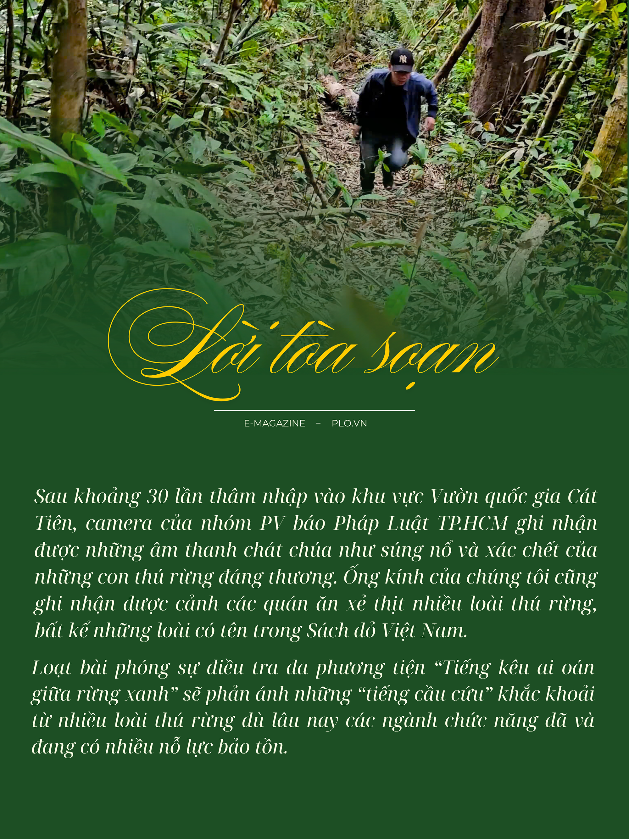 cánh thợ săn