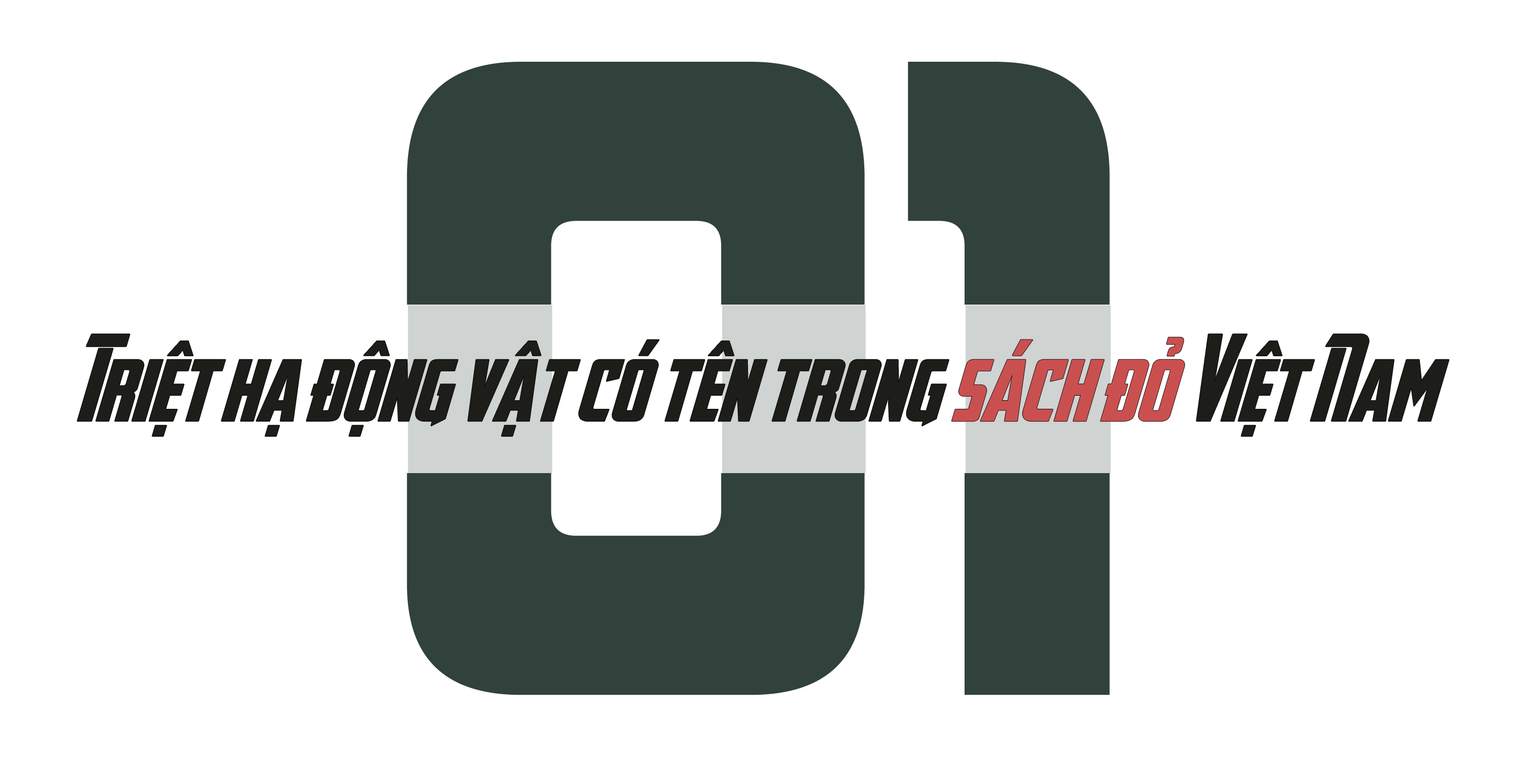 săn bắt thú rừng