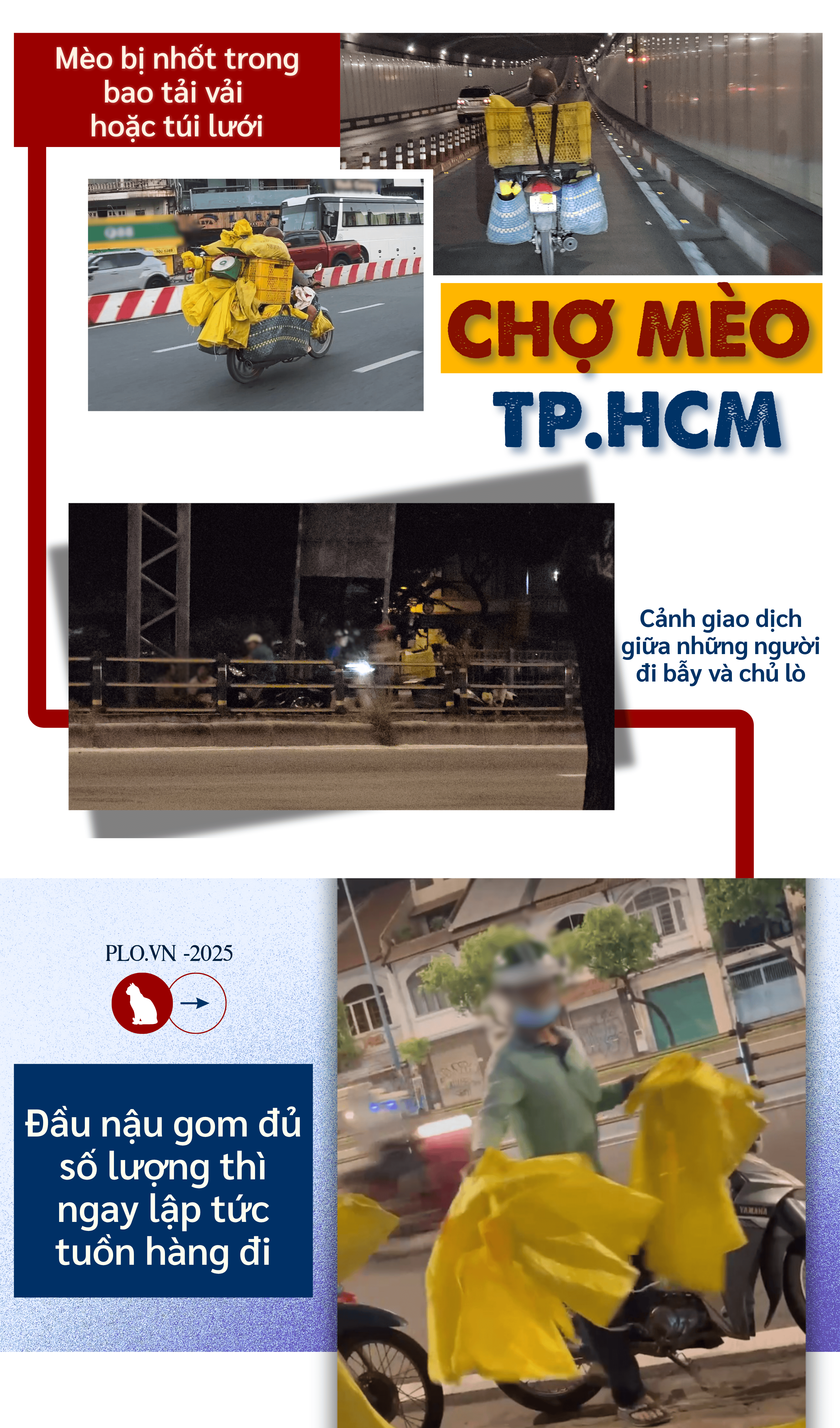 ẢNH GHÉP 14 - Cảnh giao dịch giữa những người đi bẫy và chủ lò + Mèo bị nhốt trong bao tải vải hoặc túi lưới, chất trên xe máy như người chở rau thịt mỗi sáng sớm. + Đầu nậu gom.png
