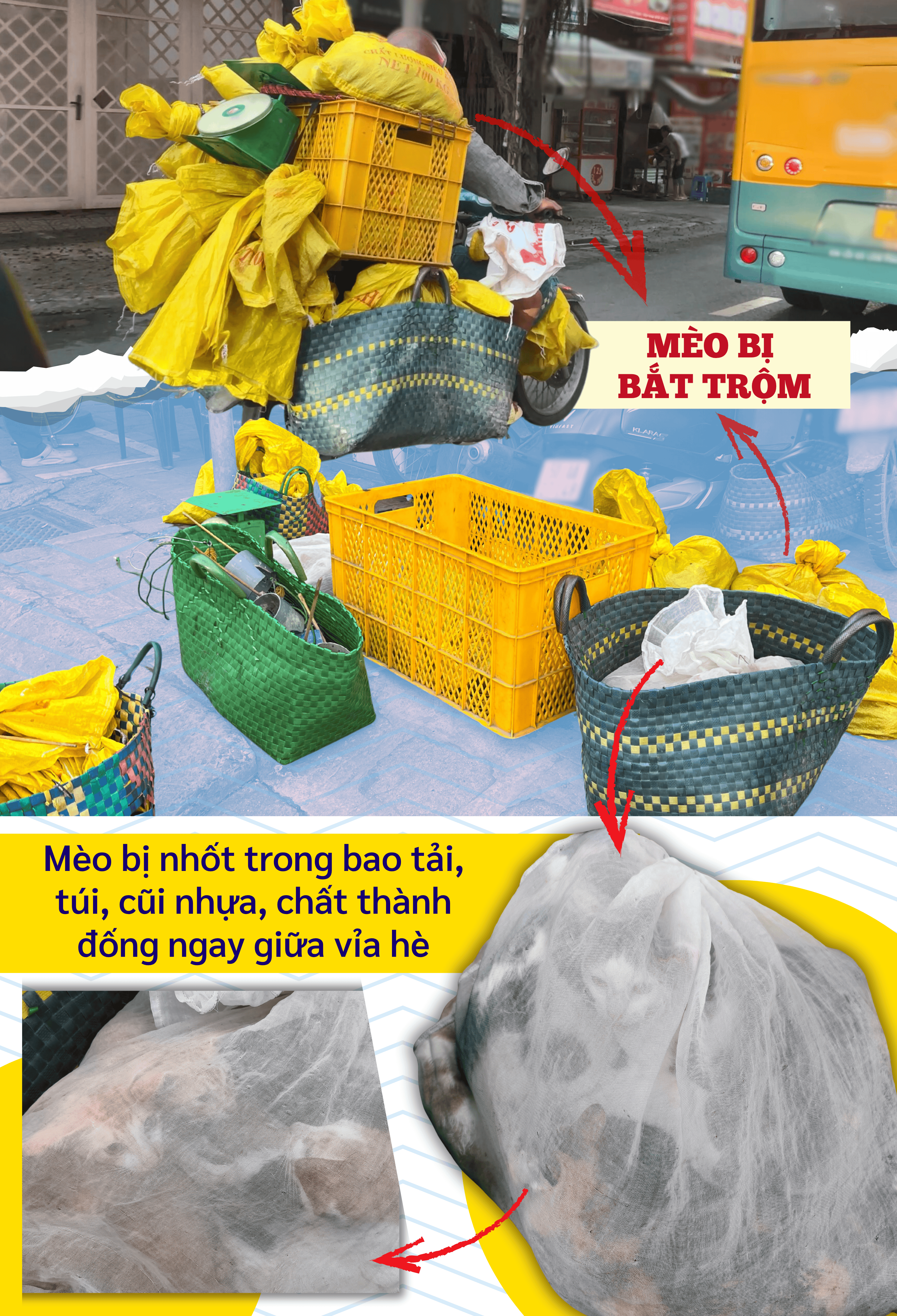 ẢNH GHÉP 4 - Mèo bị nhốt trong bao tải, túi, cũi nhựa, chất thành đống ngay giữa vỉa hè.png