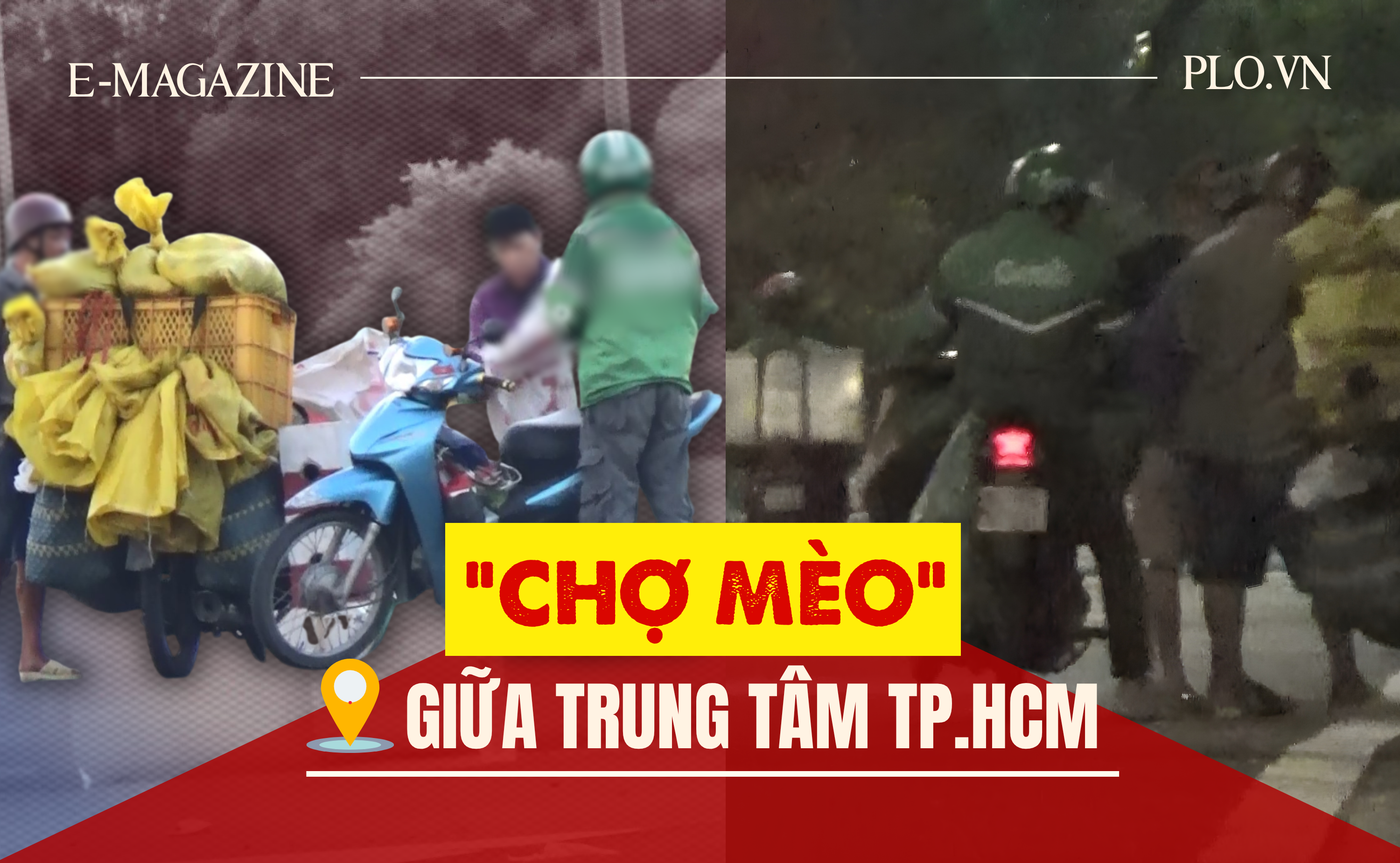 Thâm nhập đường dây 'mèo tặc' - Bài 2: Theo dấu những phi vụ mua - bán khó tin 