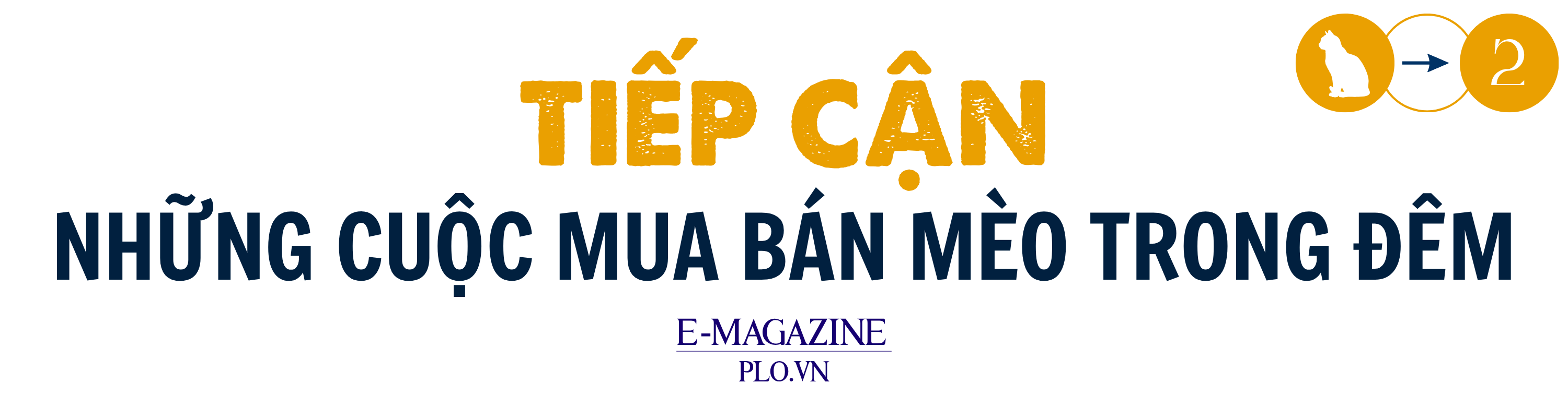mèo tặc (3).png