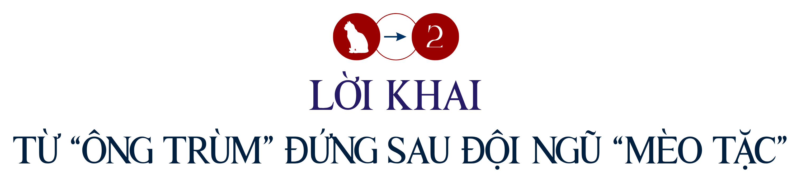 mèo tặc (5).png