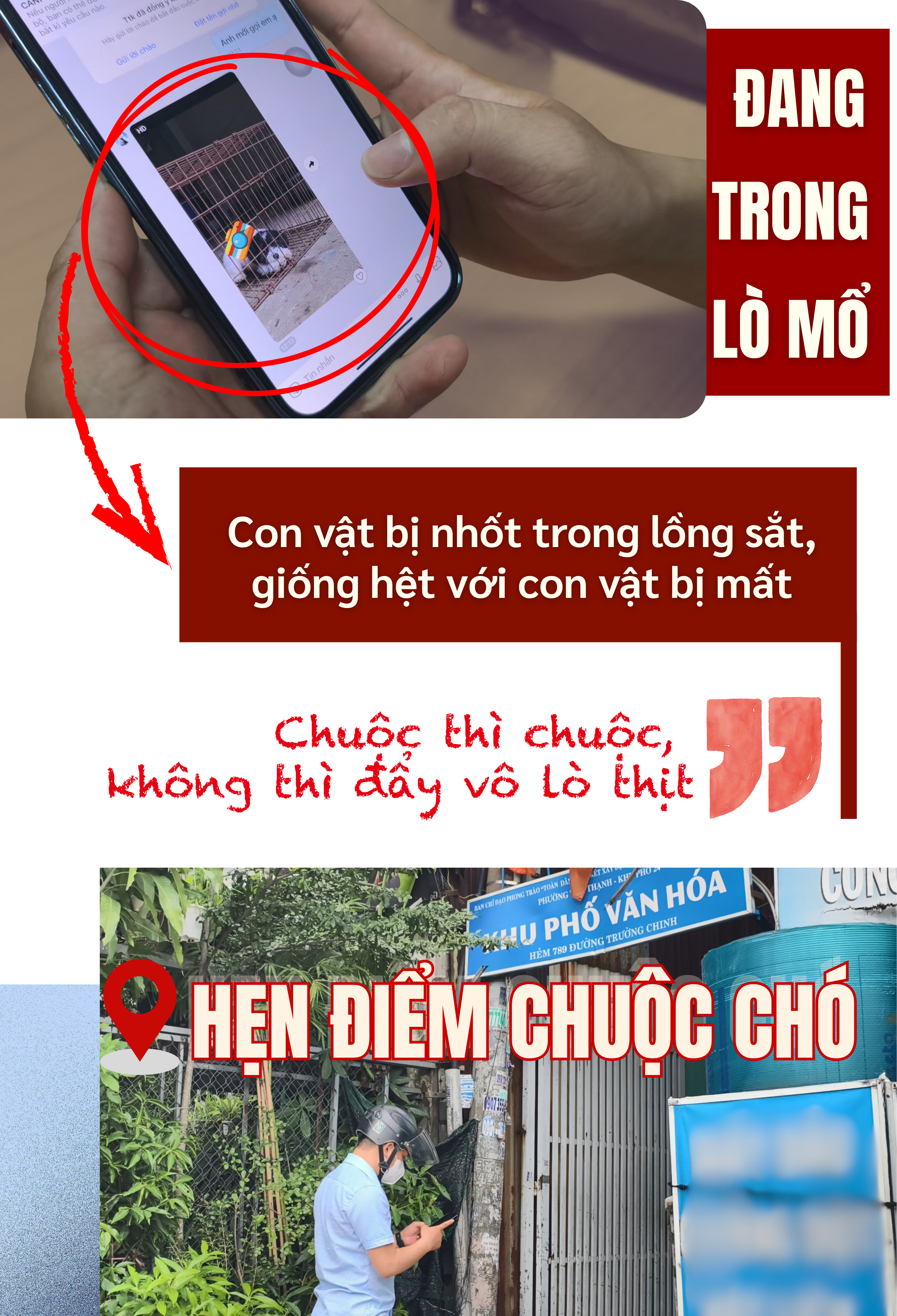 ẢNH GHÉP  8 - TVK gửi hình một con chó bị nhốt trong lồng sắt, giống hệt với con vật bị mất.png