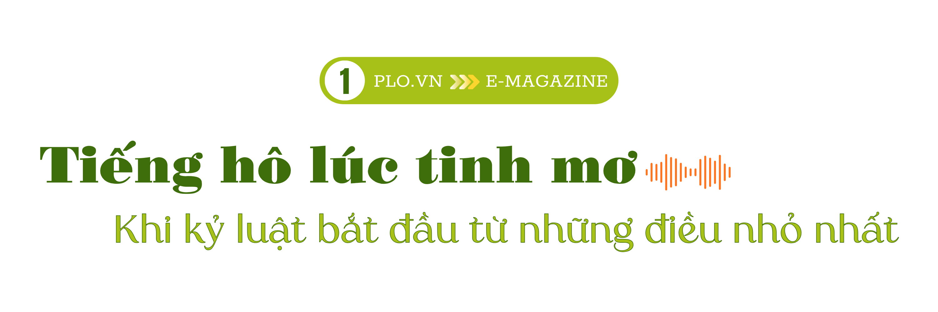Sư đoàn 9 (1).png