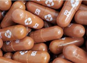 FDA Mỹ phê duyệt loại thuốc trị COVID-19 thứ hai, lần này của Merck