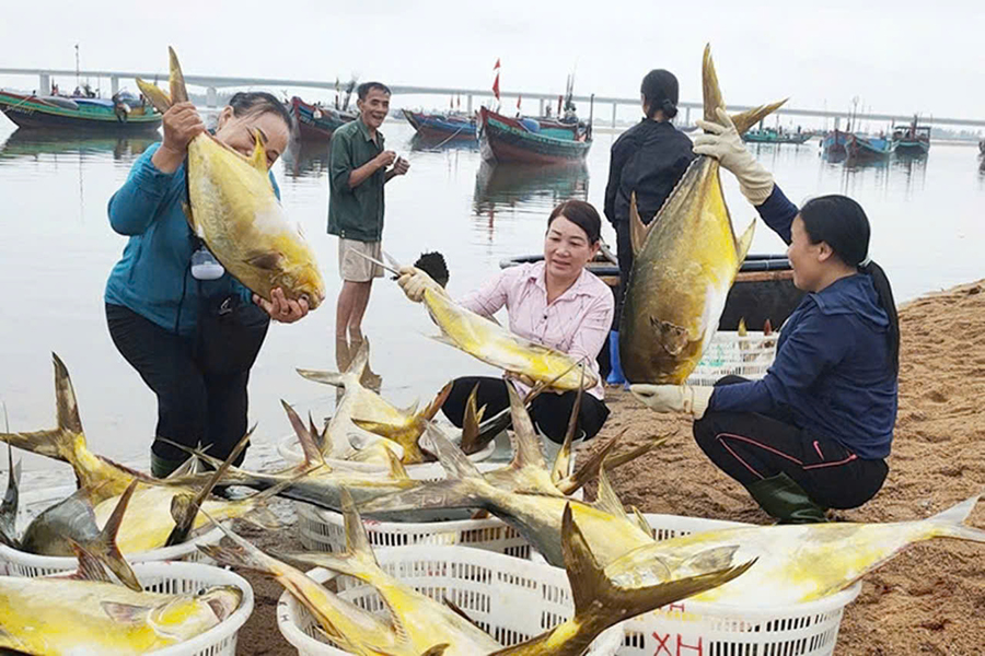 P45_Chinh_h2.jpg