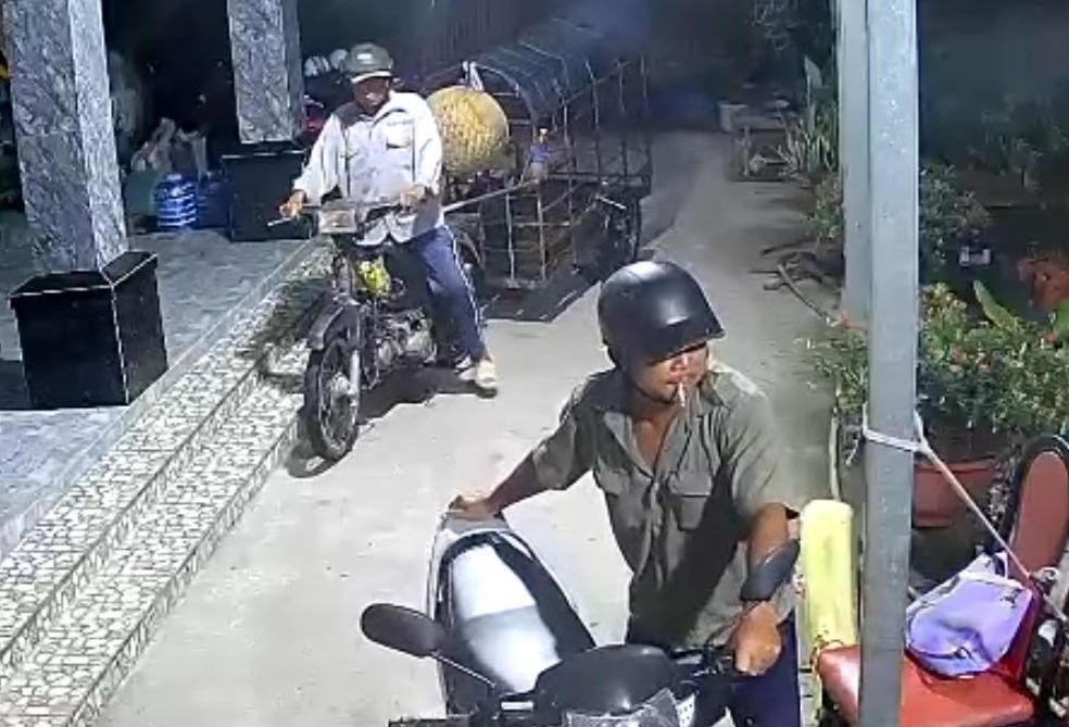 giả thương lái mua heo.jpeg