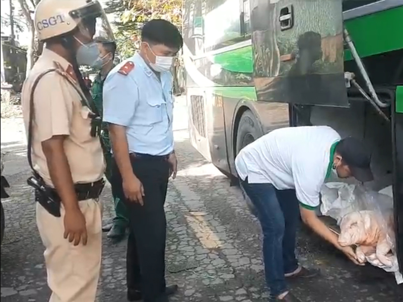 Video: Xe khách chở hàng chục xác heo không rõ nguồn gốc, bốc mùi hôi thối
