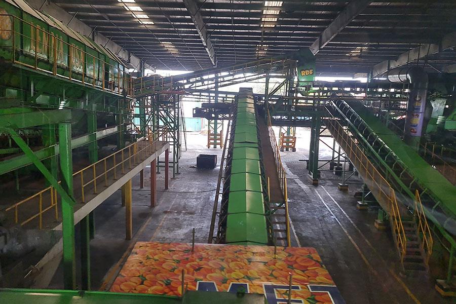 Vì sao các dự án đốt rác phát điện ở TP.HCM 'giậm chân tại chỗ'?