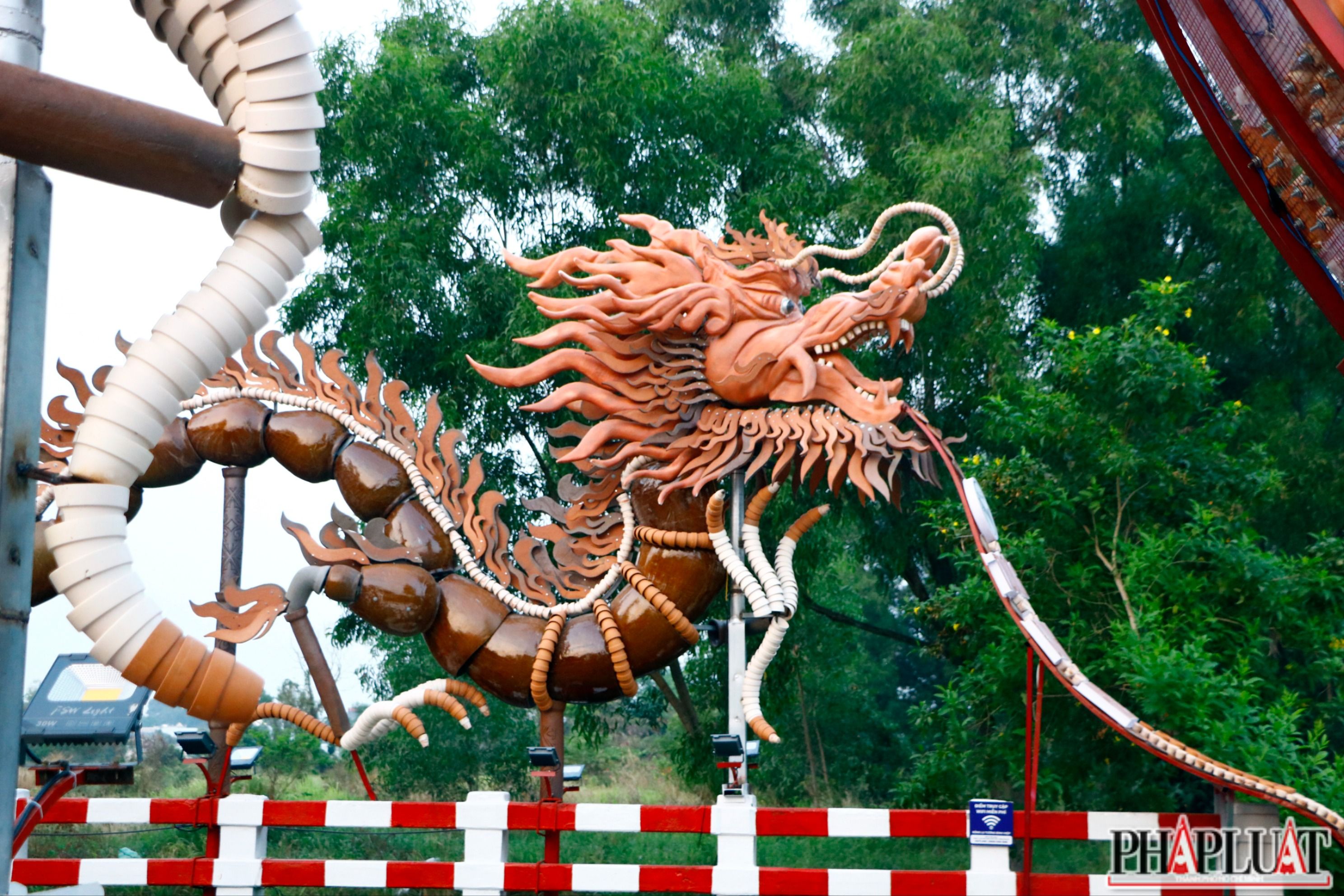 rồng lu (6).JPG