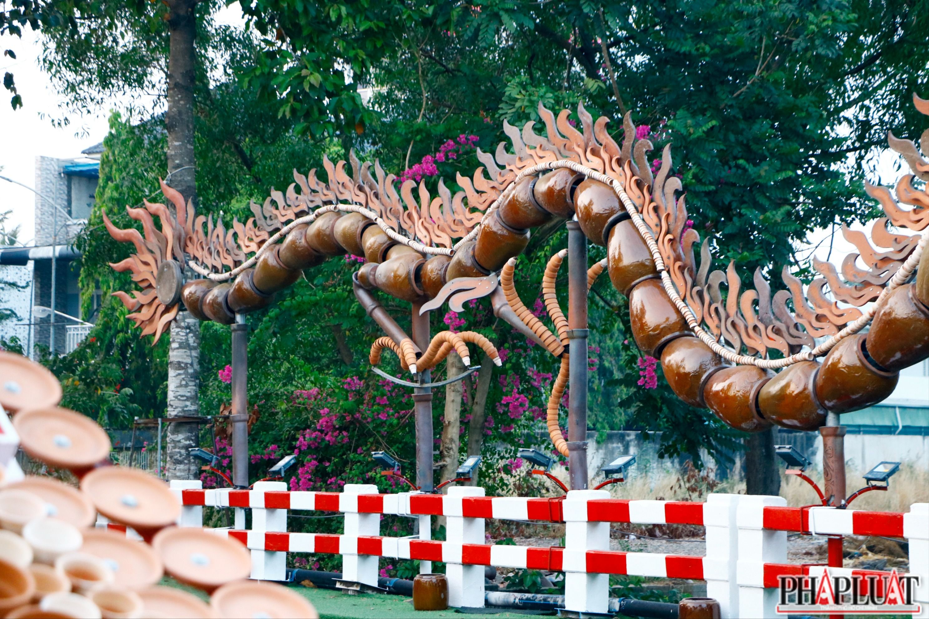 rồng lu (8).JPG