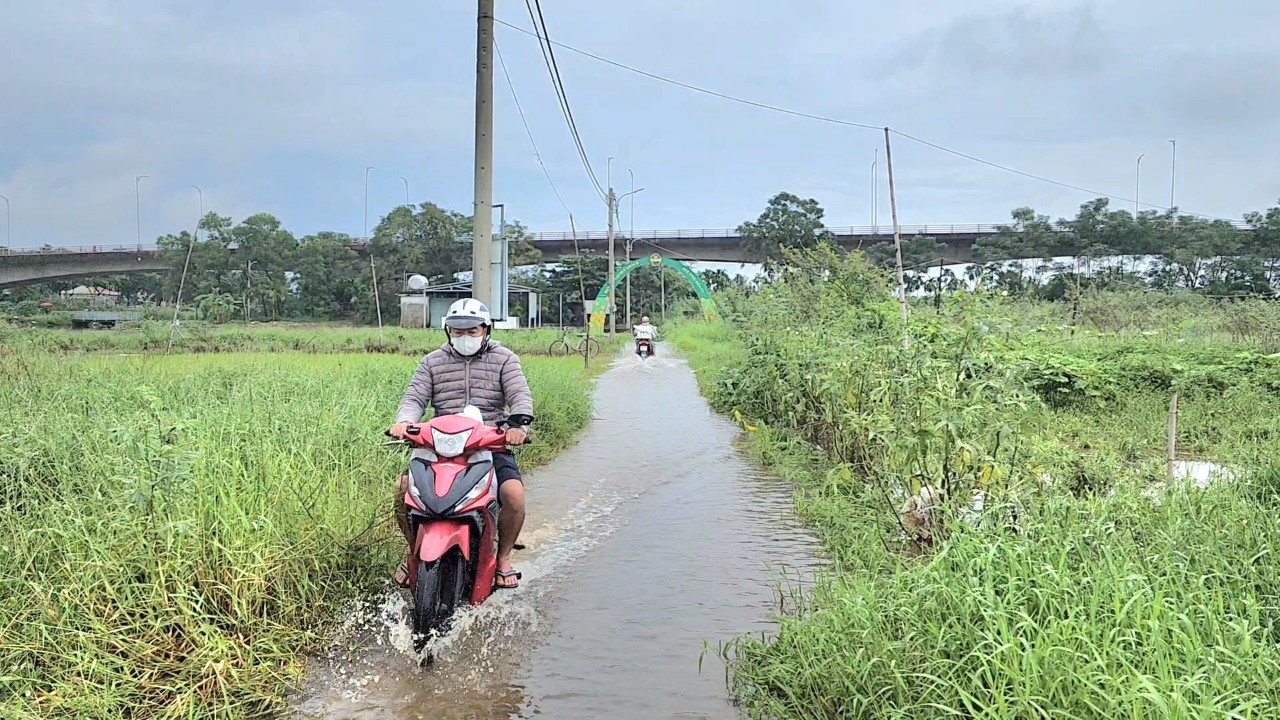 nuop rut nguoi dan ra mot rau.jpg