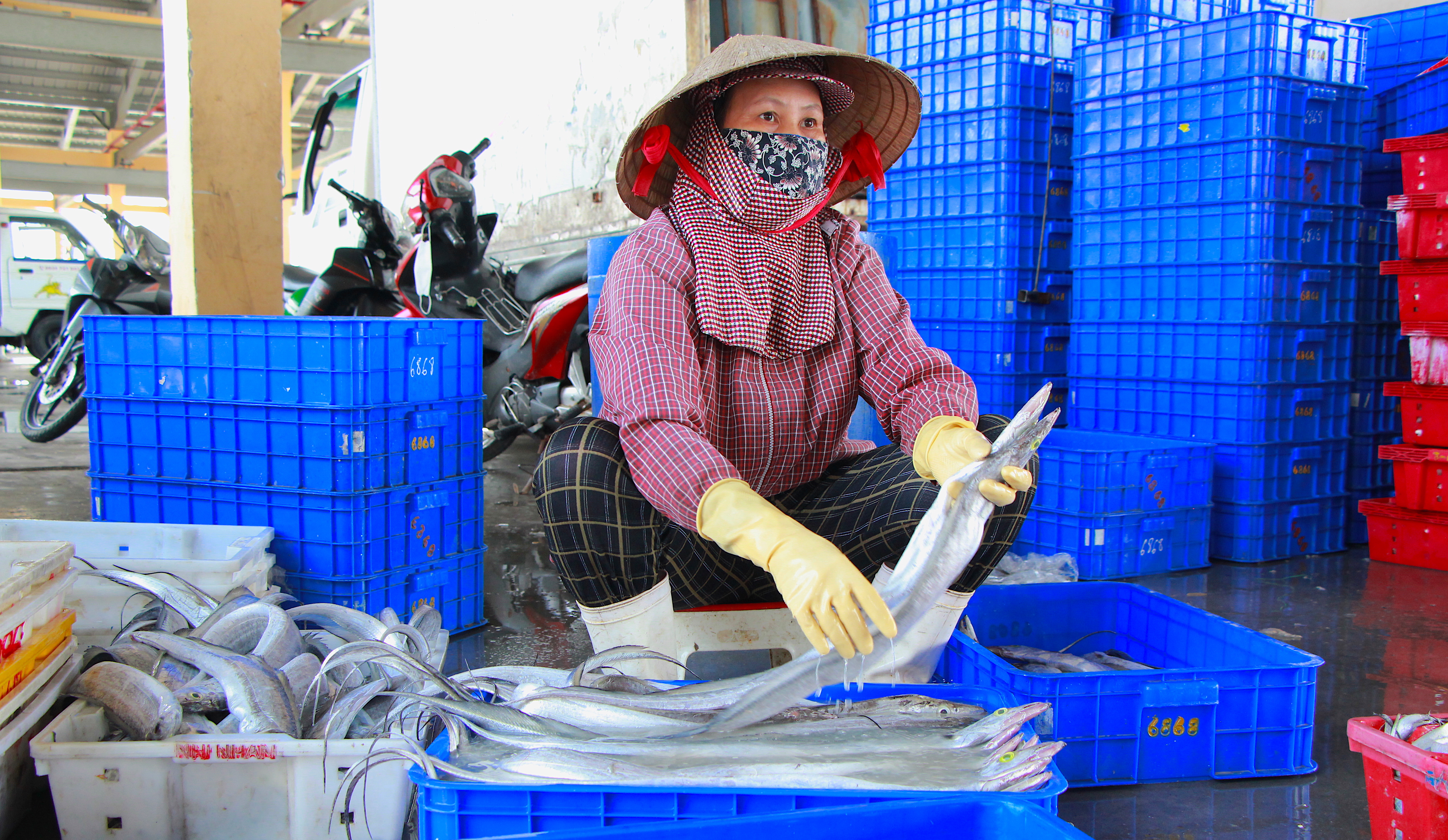 cang-ca-dan-lam.JPG