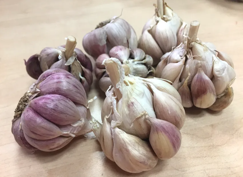 Thực phẩm tốt cho phổi khi thời tiết giao mùa