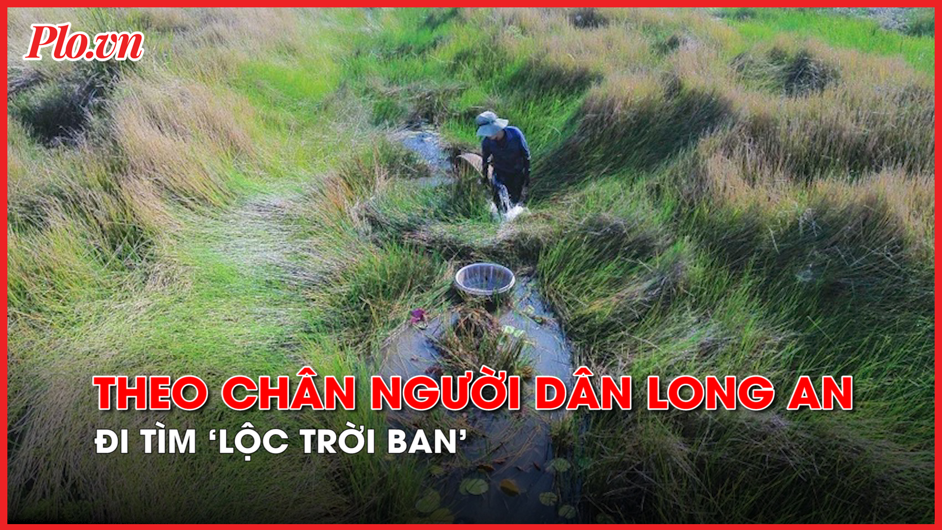 Video: Theo chân người dân Long An đi tìm 'lộc trời ban' cho vùng đất nhiễm phèn