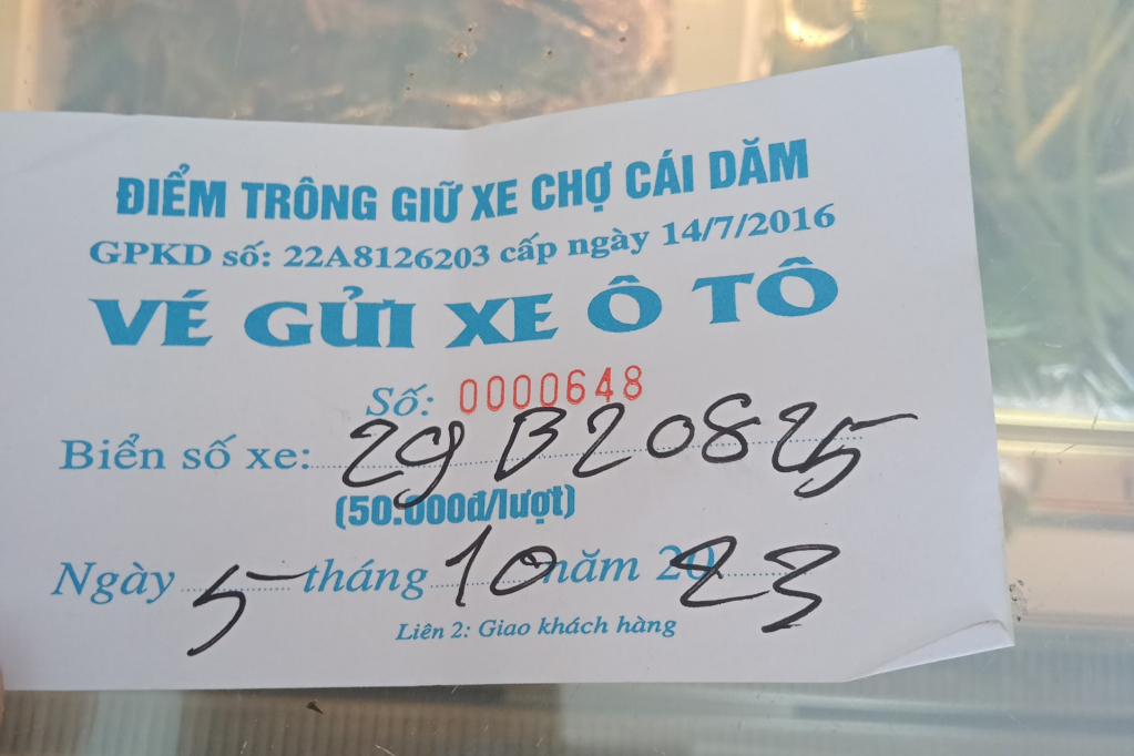 trong-giu-xe-cho-cai-dam.jpeg