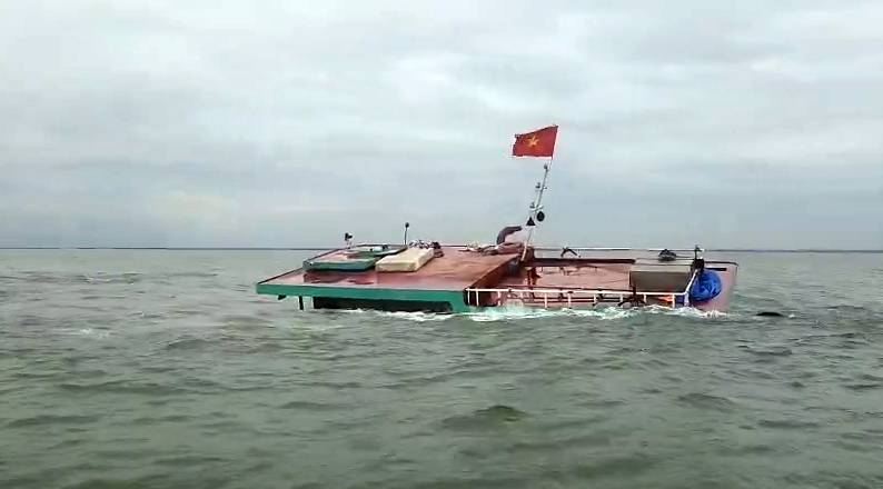 cuu-nan-tau-chim-1.jpg