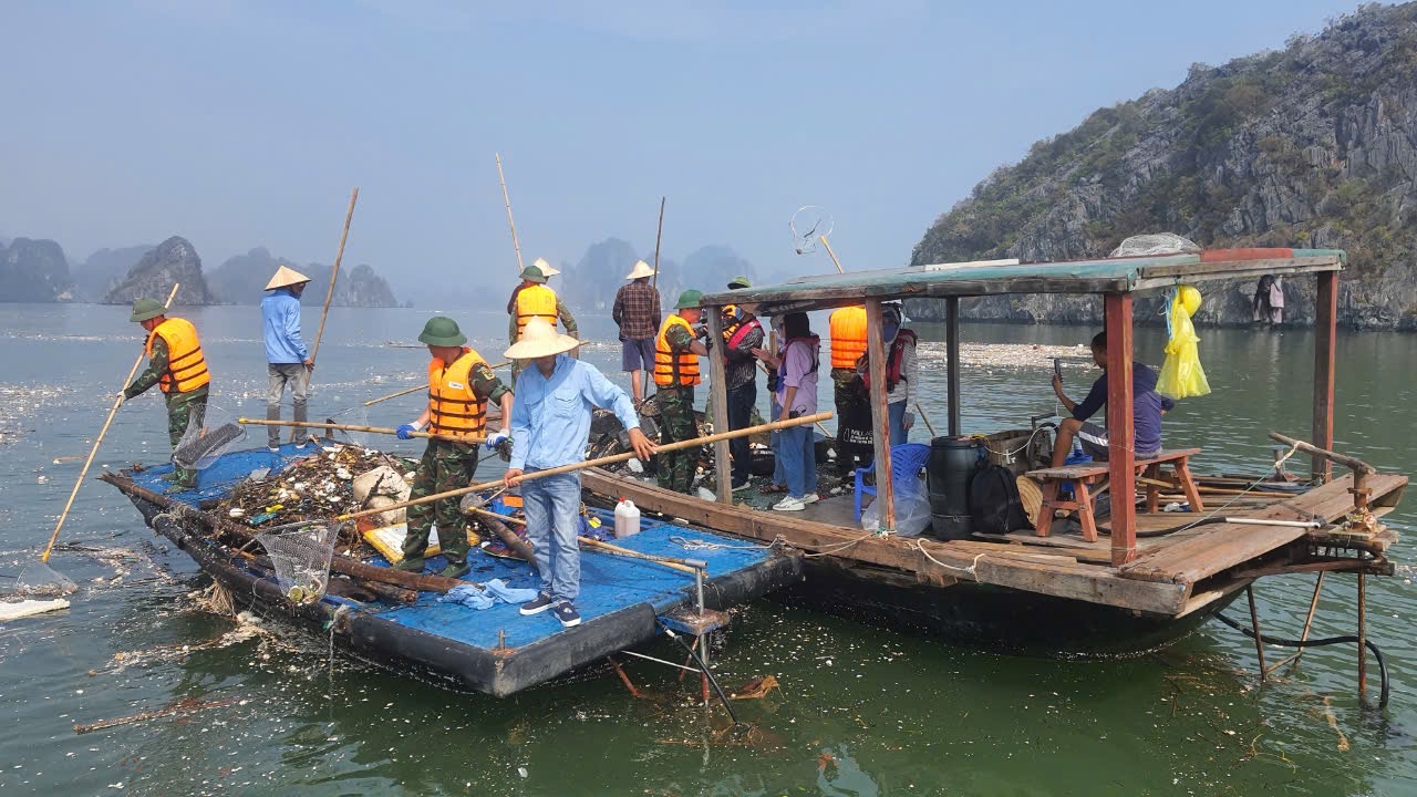 Các đơn vị ra quân tổng lực làm sạch vịnh Hạ Long trong 3 ngày cao điểm. Ảnh: BQL vịnh Hạ Long
