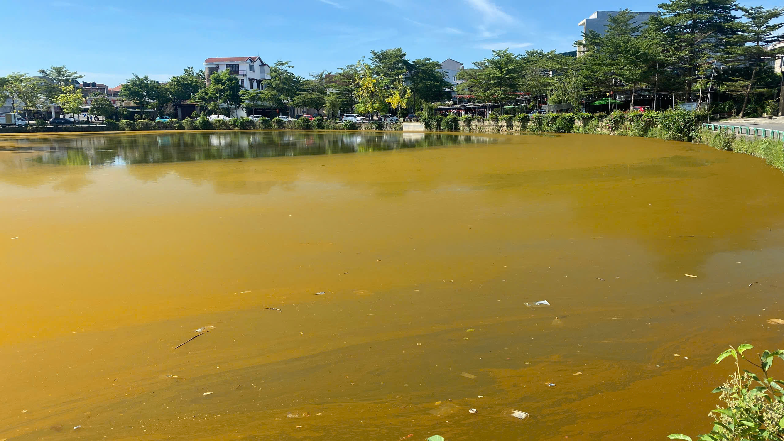 Mặt hồ Trái tim ở TP Huế xuất hiện lớp váng đặc quánh