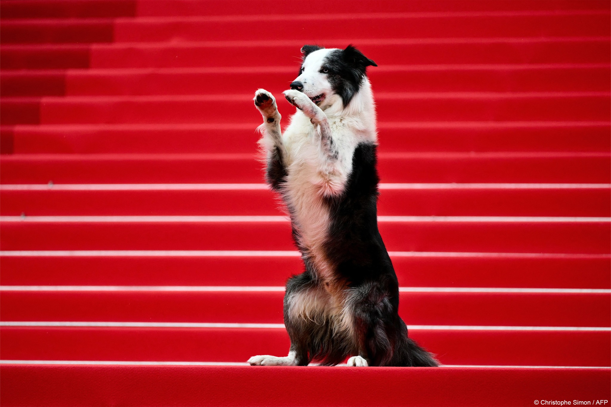 lien-hoan-phim-cannes1.jpg