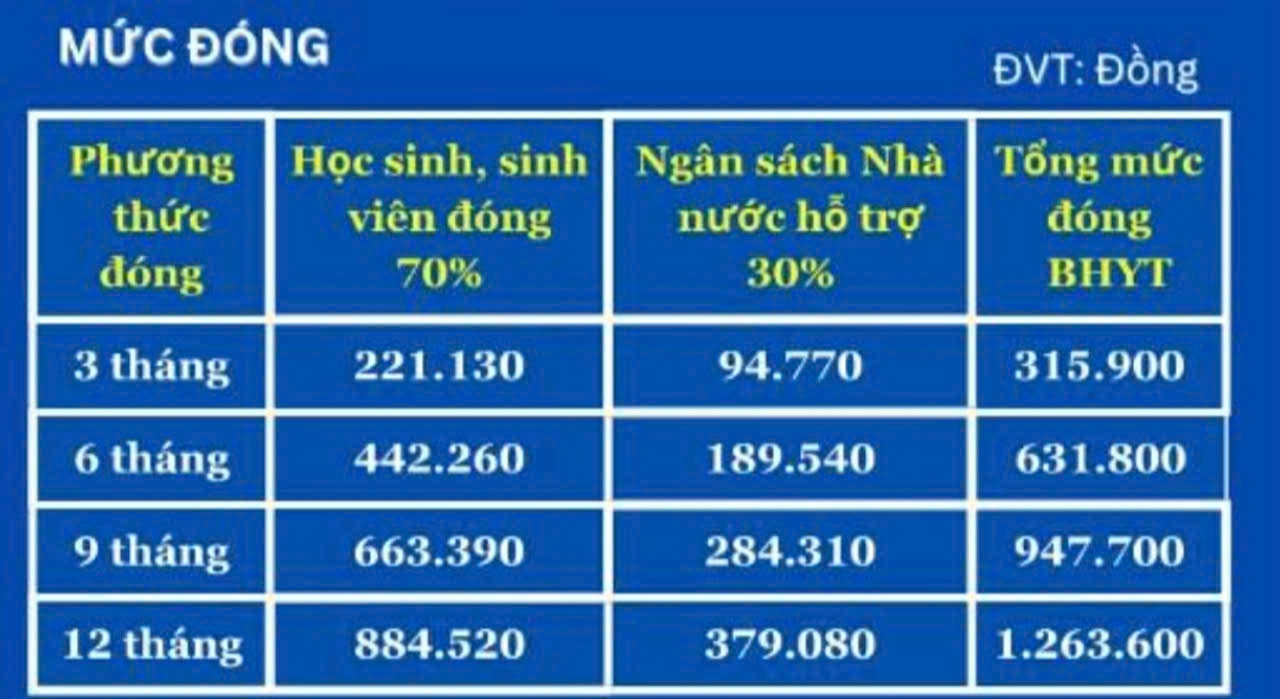 muc dong bhyt-h1.jpg