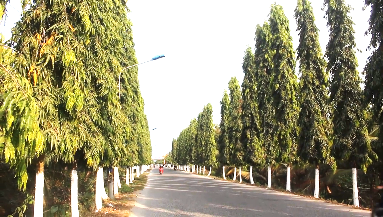 Một doanh nghiệp bị cấm tham gia đấu thầu 3 năm trên địa bàn tỉnh Bến Tre