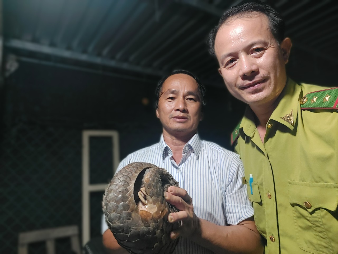 Kiểm tra vườn lan khi chó sủa ran, người đàn ông bắt được tê tê quý