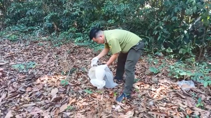 Con trăn 1,7 m bò vào chung cư Mỹ Phước đã được thả về Cát Tiên