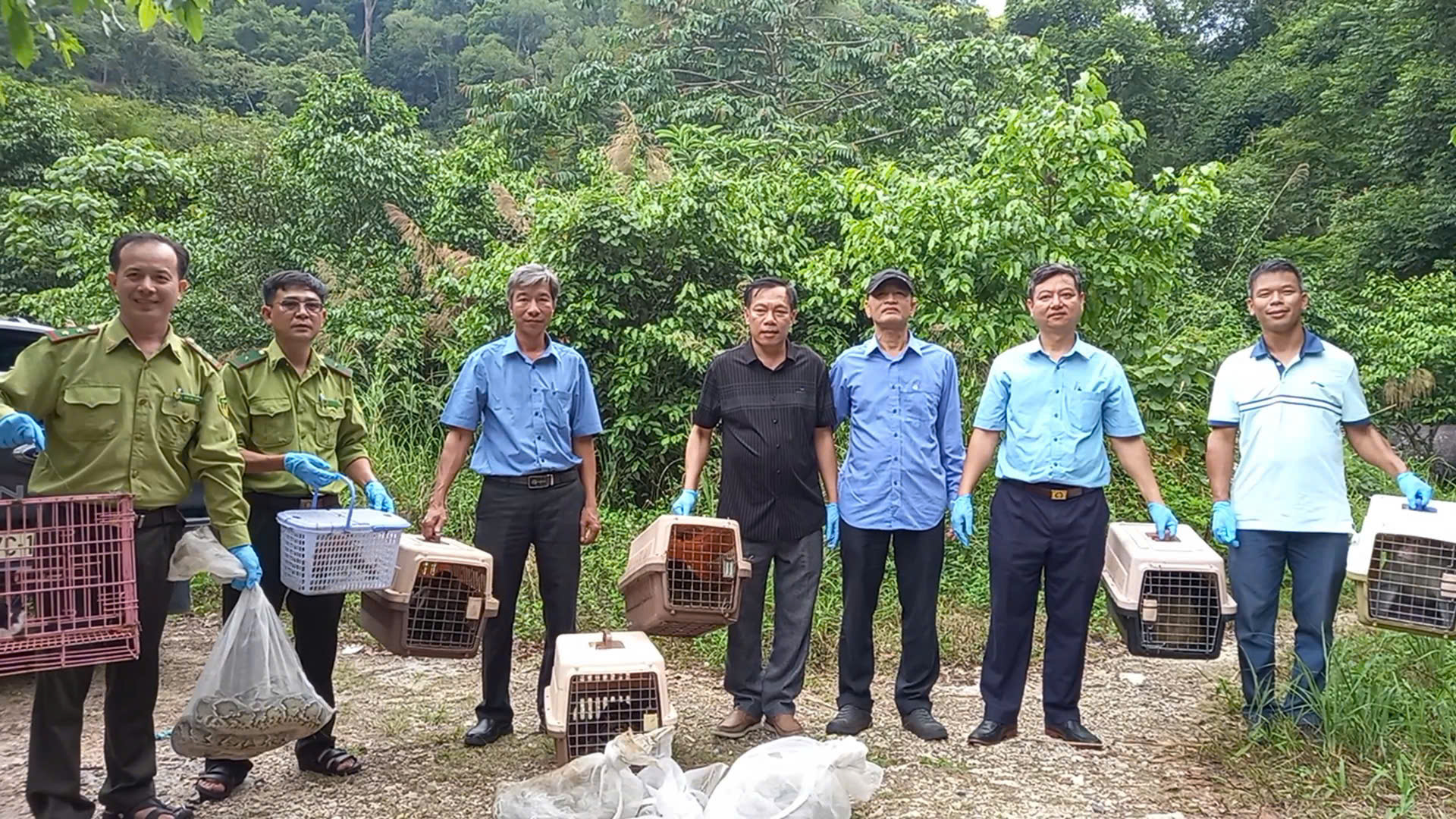 Con cu li quý hiếm bắt được ở TP Thủ Đức cùng 23 động vật hoang dã được thả về tự nhiên