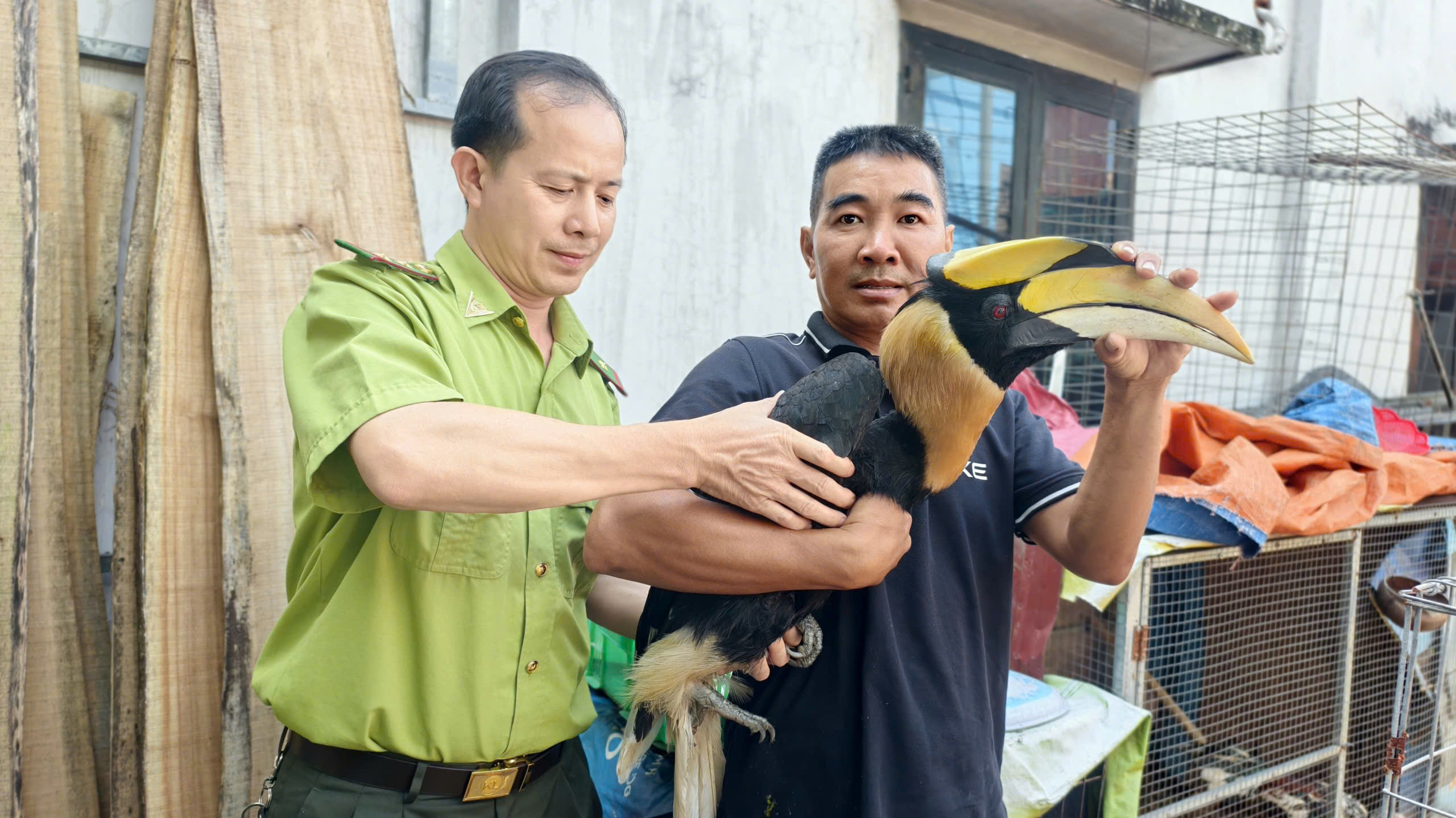nguoi-dan-tp-hcm-giao-chim-hong-hoang-quy-hiem-cho-kiem-lam-033.jpg