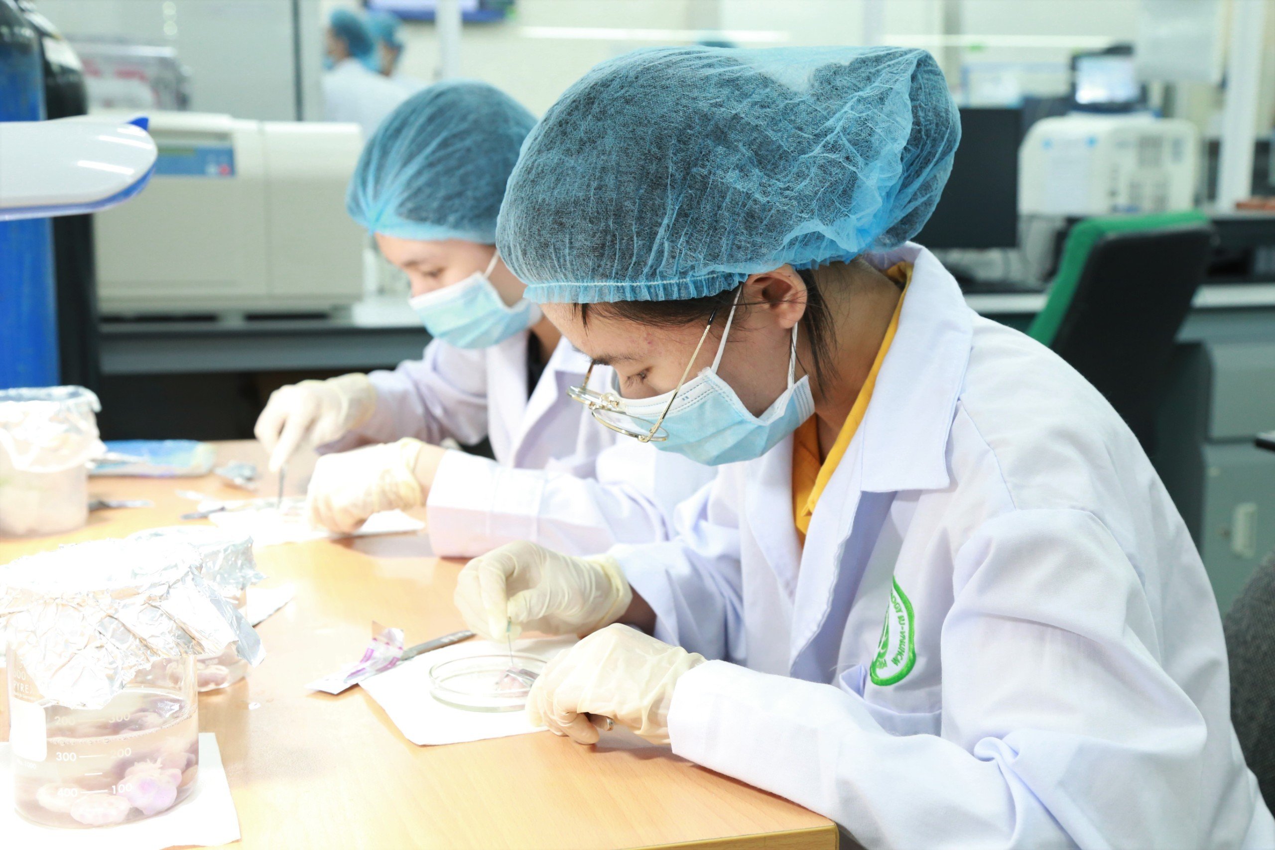 pho-bi-thu-thuong-truc-thanh-uy-tp-hcm-nguyen-ho-hai-cung-dat-minh-vao-hoi-tho-cua-tp-hcm-de-cong-hien-1.jpeg