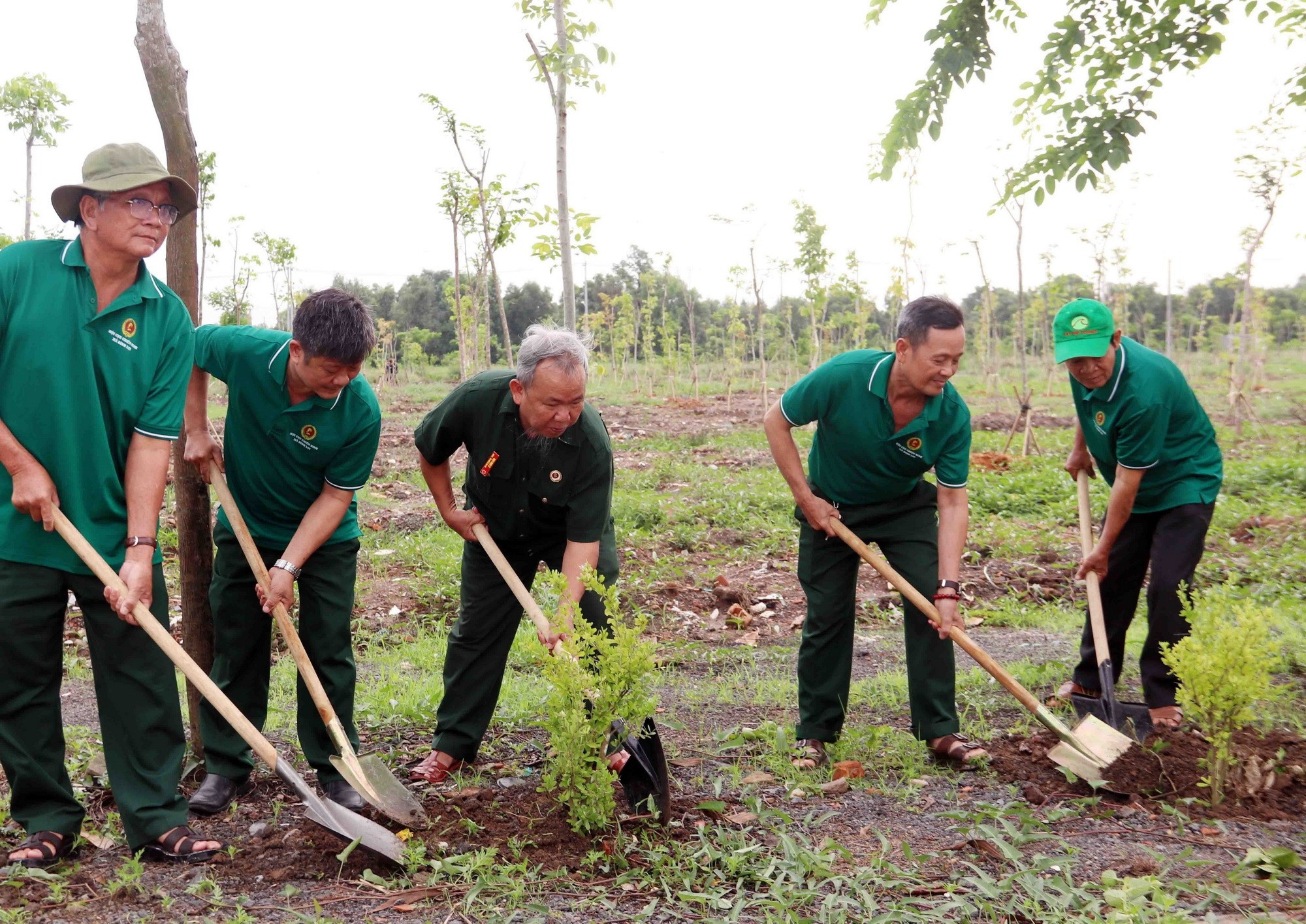 vi-mot-nen-van-minh-sinh-thai-mot-viet-nam-xanh-va-mot-dai-duong-hoa-binh-ben-vung-3.jpg