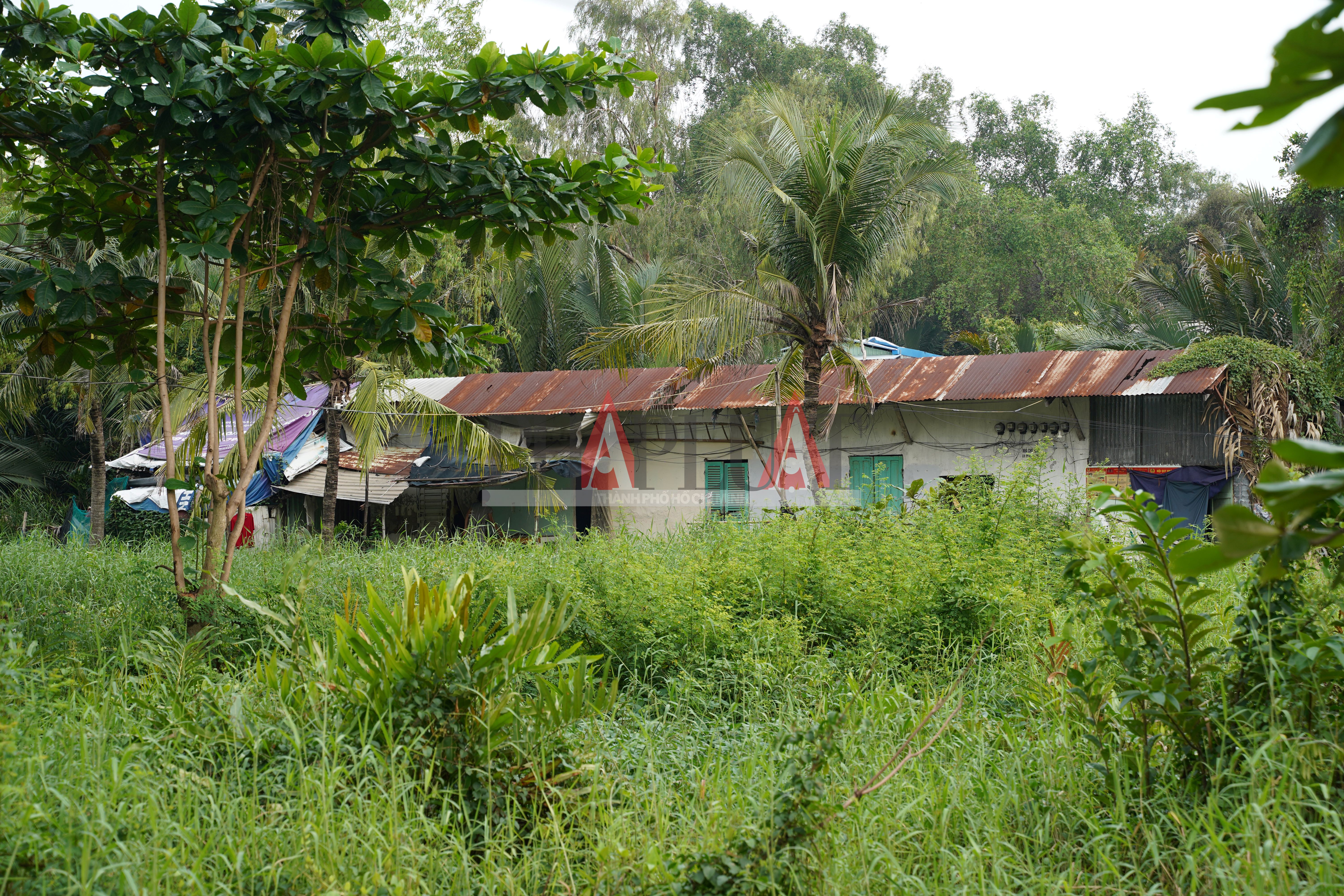 van-thinh-phat-19.jpg