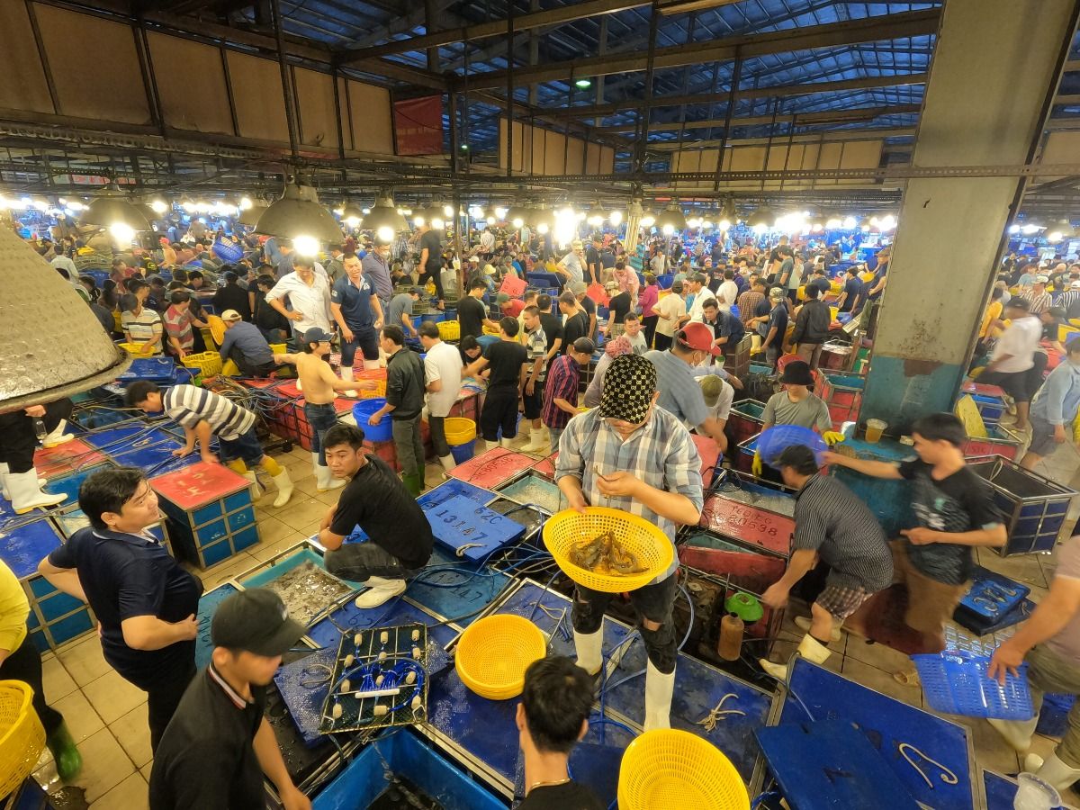 Chợ đầu mối Nông sản Thực phẩm Bình Điền cung cấp gần 80% hải sản tươi sống cho TP.HCM và các khu vực lân cận.jpg